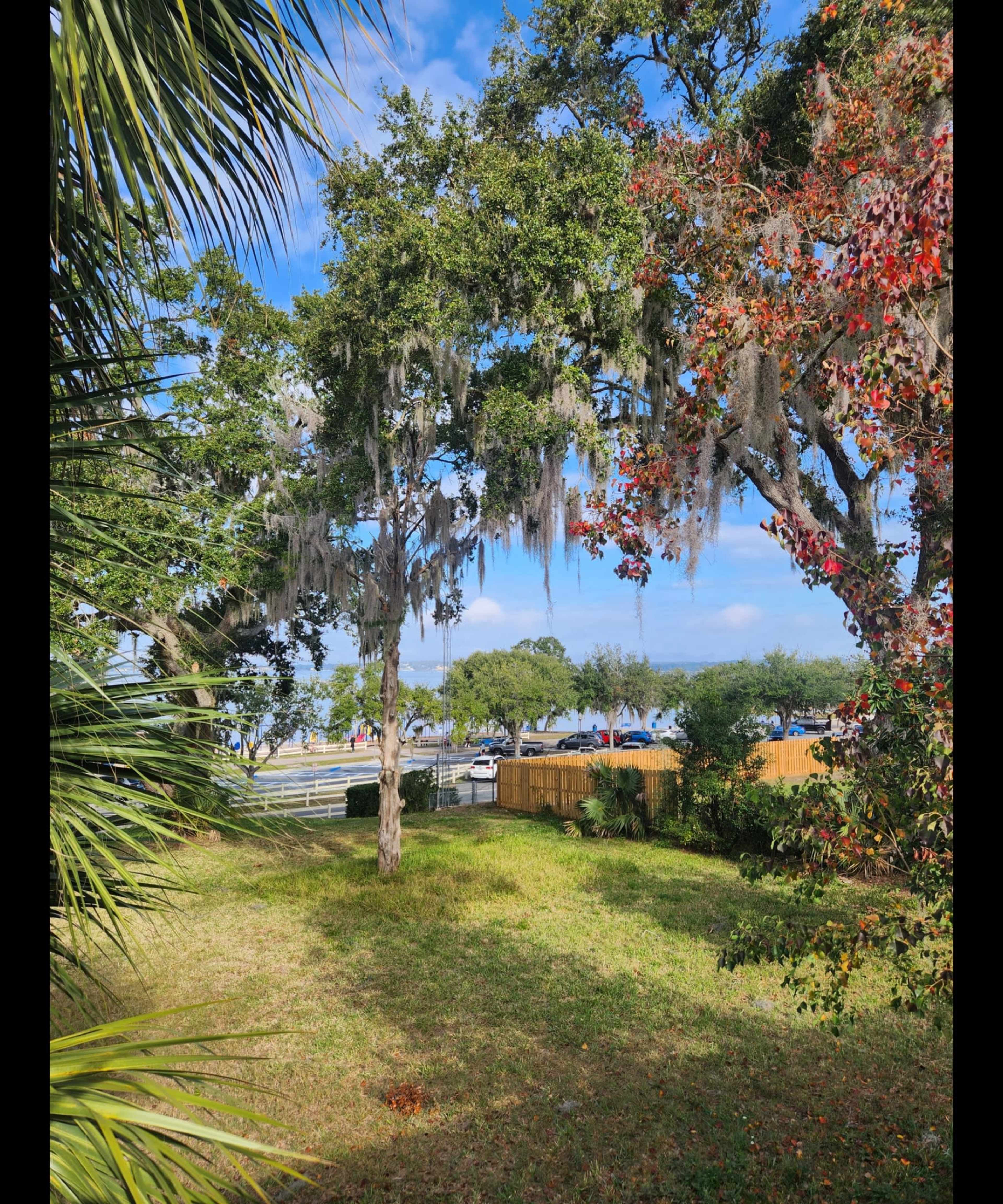 Lakeside Yard Waterfront Location for Photo Shoots, Sunset Views Picnics, and Quiet Celebrations Near Downtown Events Chain of Lakes, and Nature Trails Image in Clermont, Clermont, FL