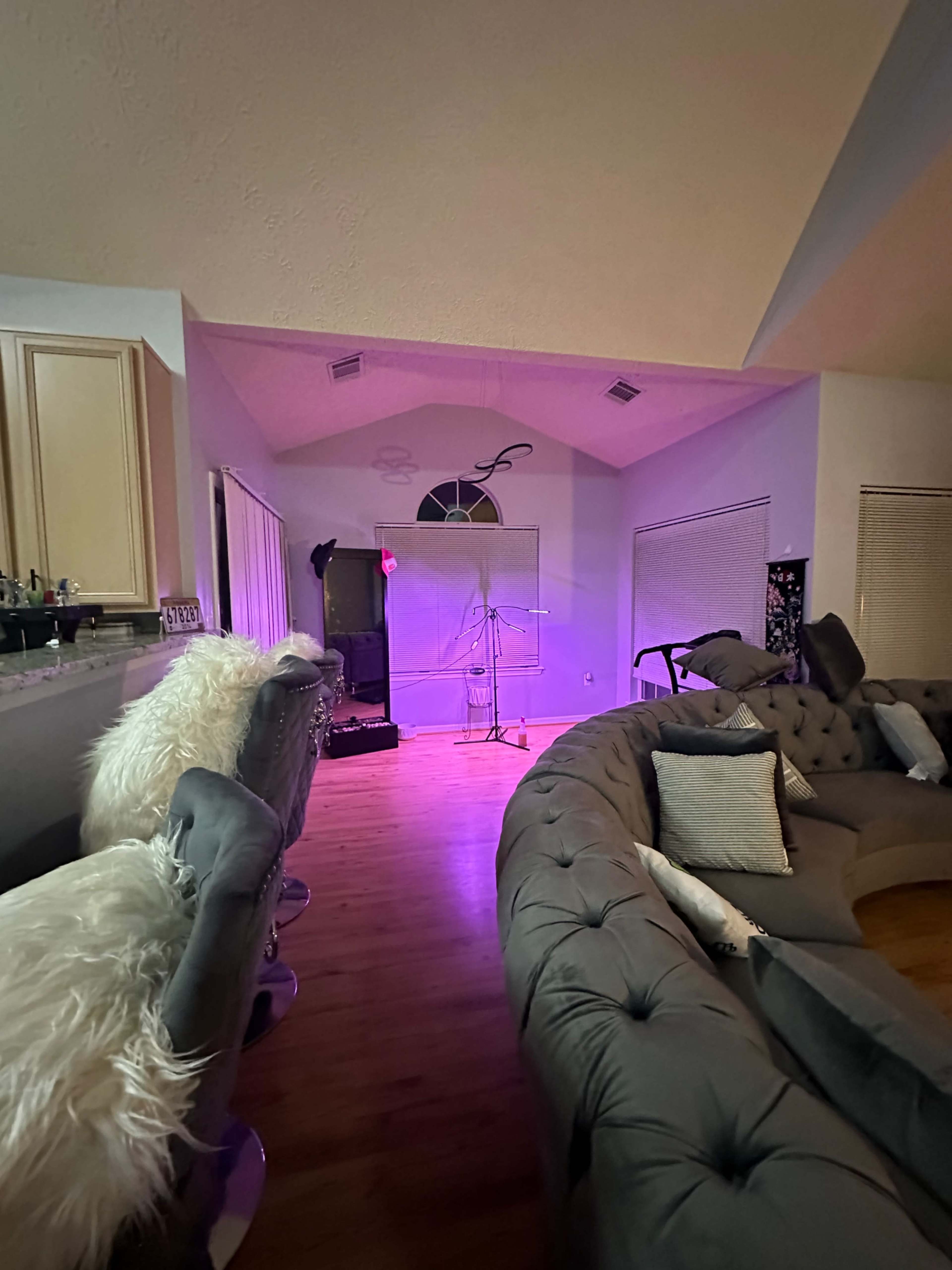 Cozy, bright, natural light condo Image in Bowie, Bowie, MD