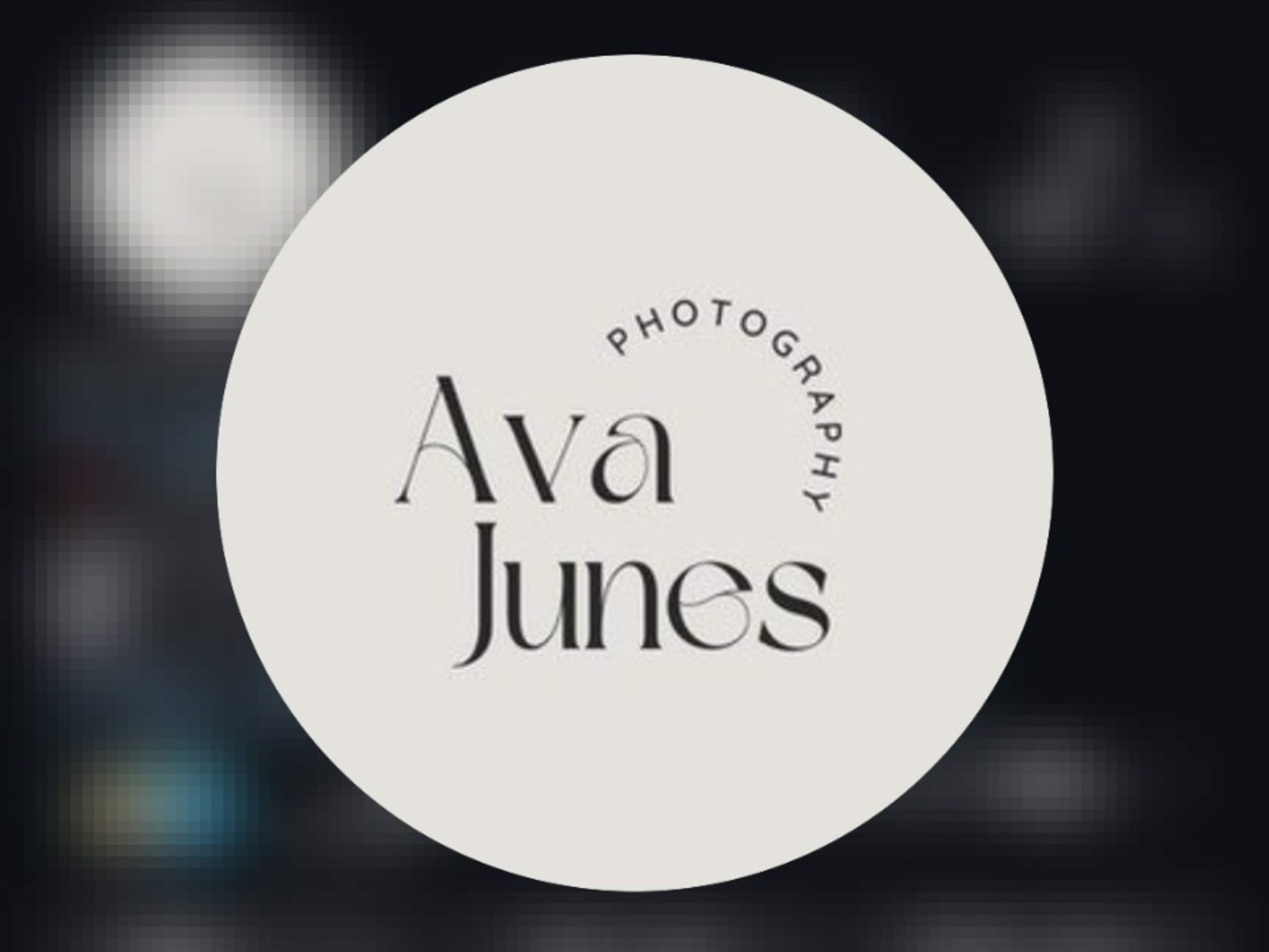 Professional Photographer