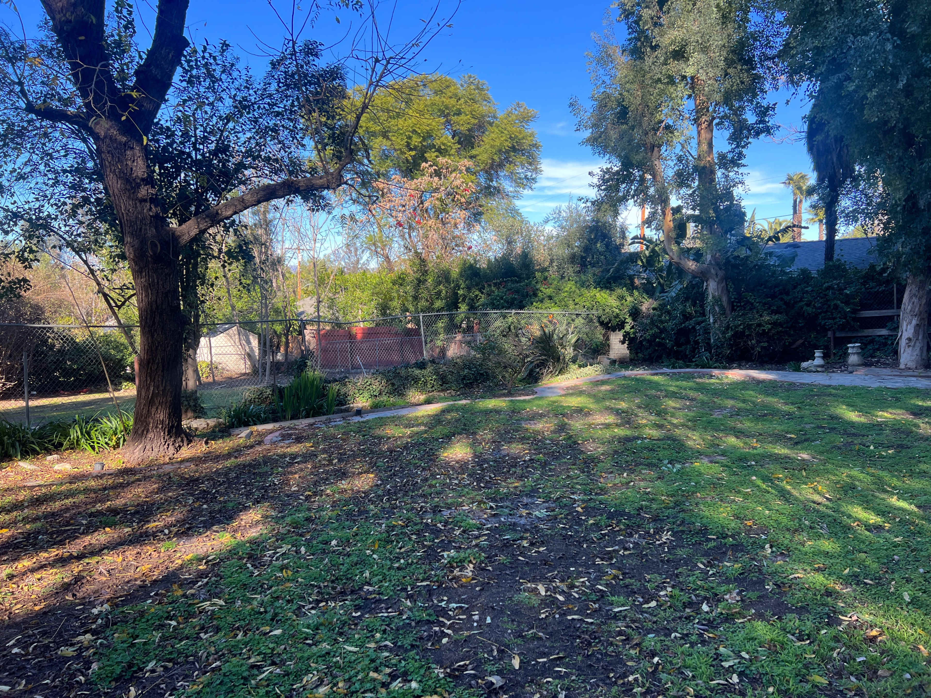 A fenced backyard with trees and shrubs under a clear blue sky.