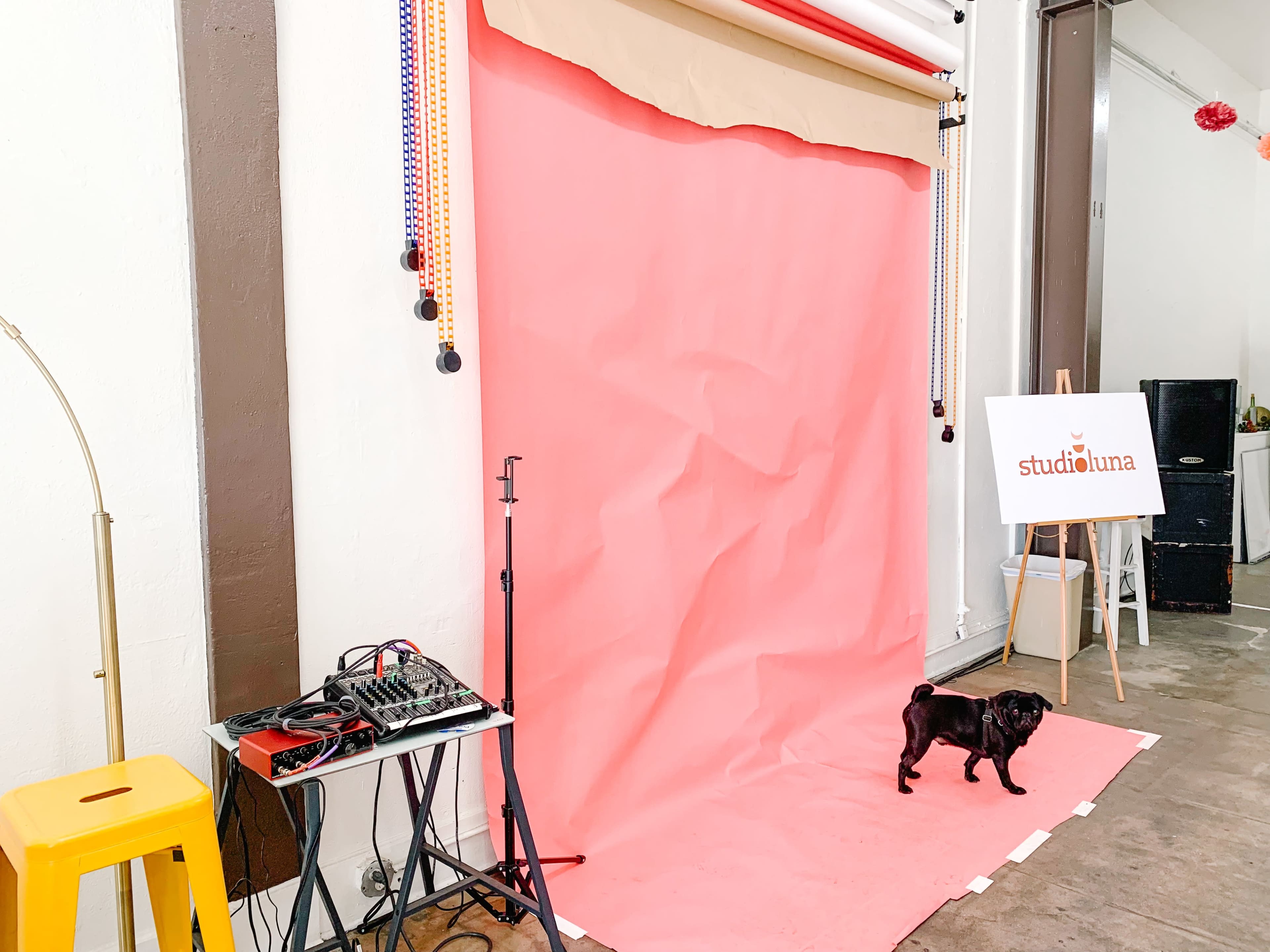 A small black dog stands in front of a pink backdrop, next to a sound mixing board and a sign that reads "studio luna."