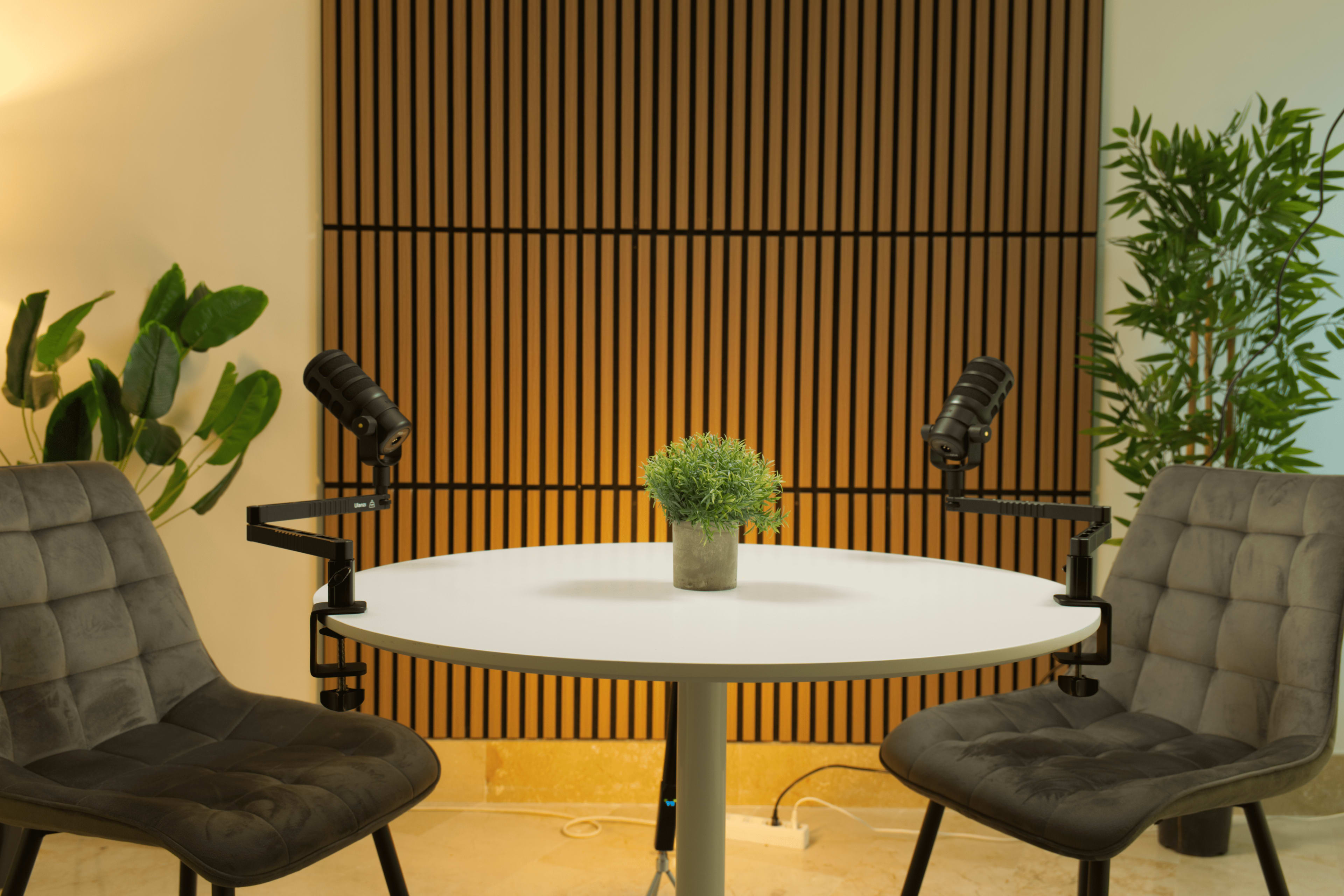A round table with two gray chairs is set up in a room featuring a striped wooden wall and a small potted plant in the center.