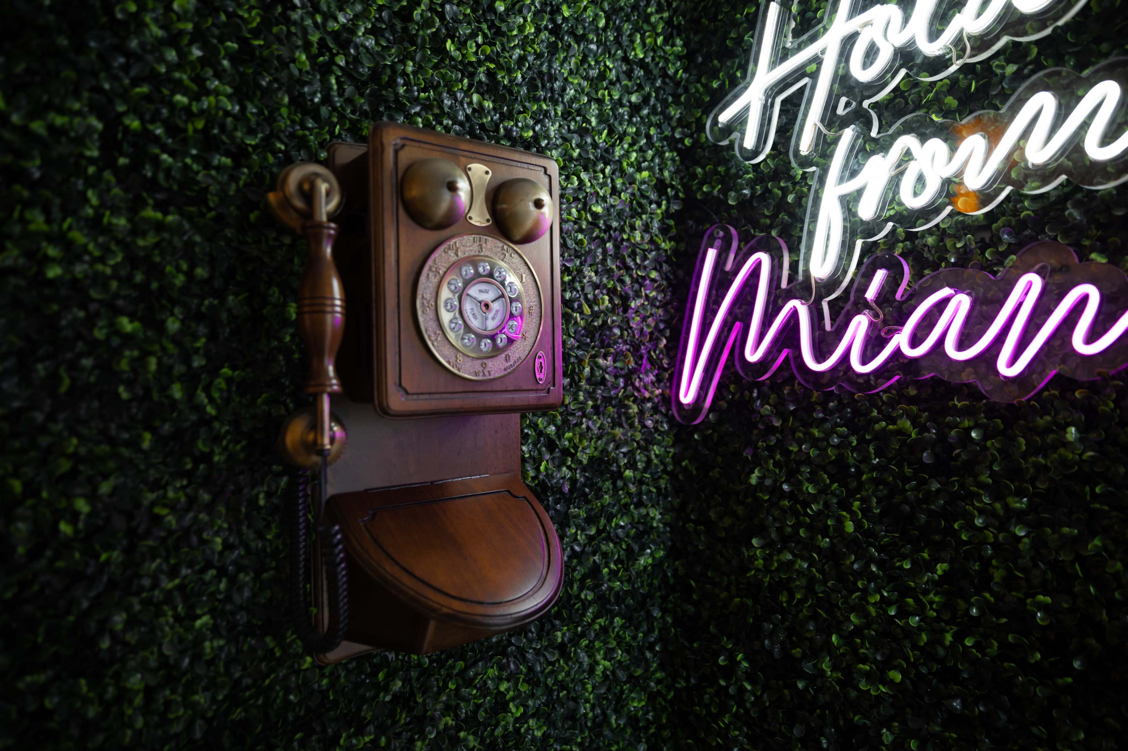 The image features a vintage wall-mounted telephone beside a neon sign that reads "Greetings from Miami," against a backdrop of green foliage.
