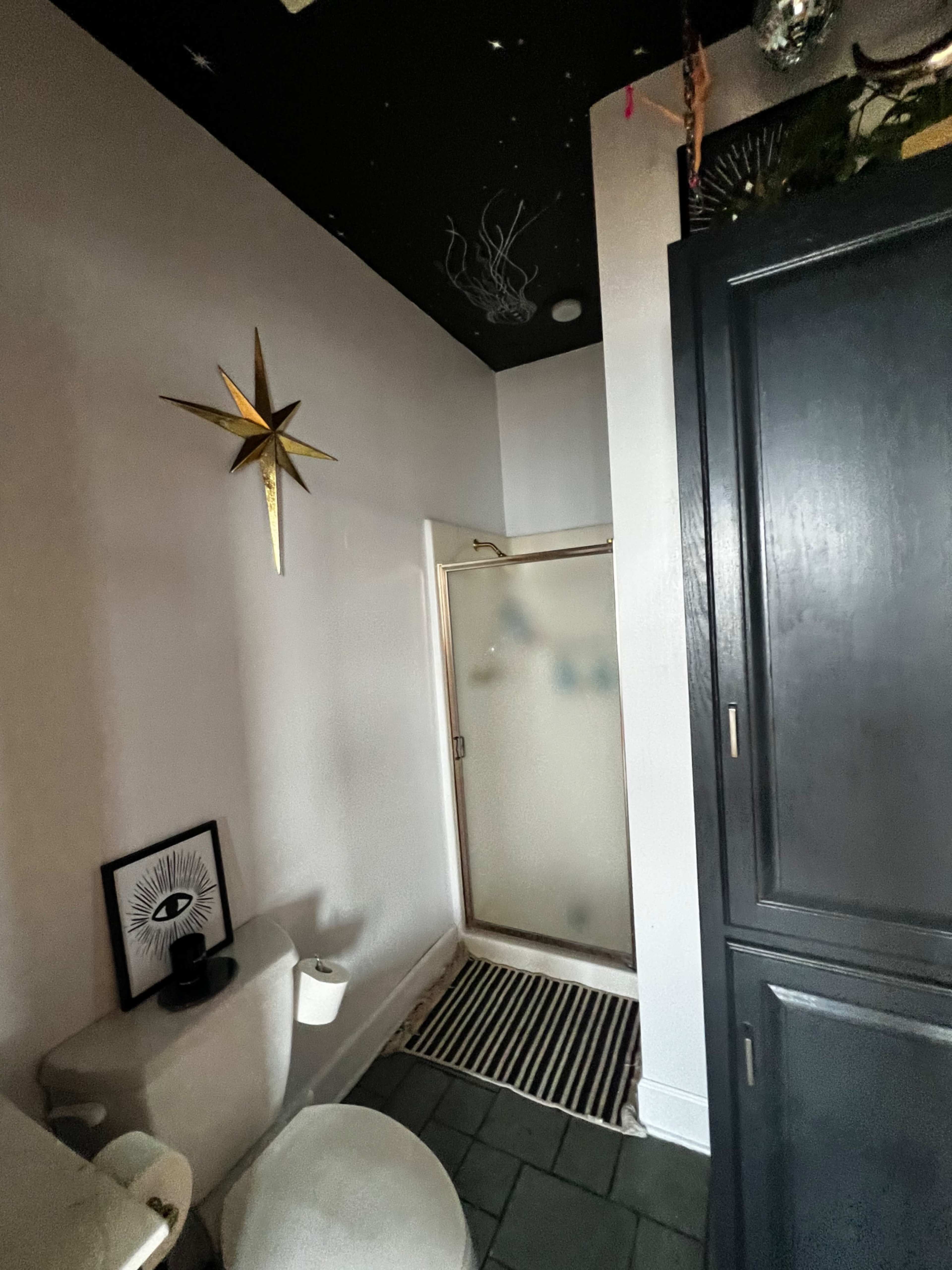 A bathroom with a toilet, a shower stall, a striped rug, and a black ceiling decorated with stars.