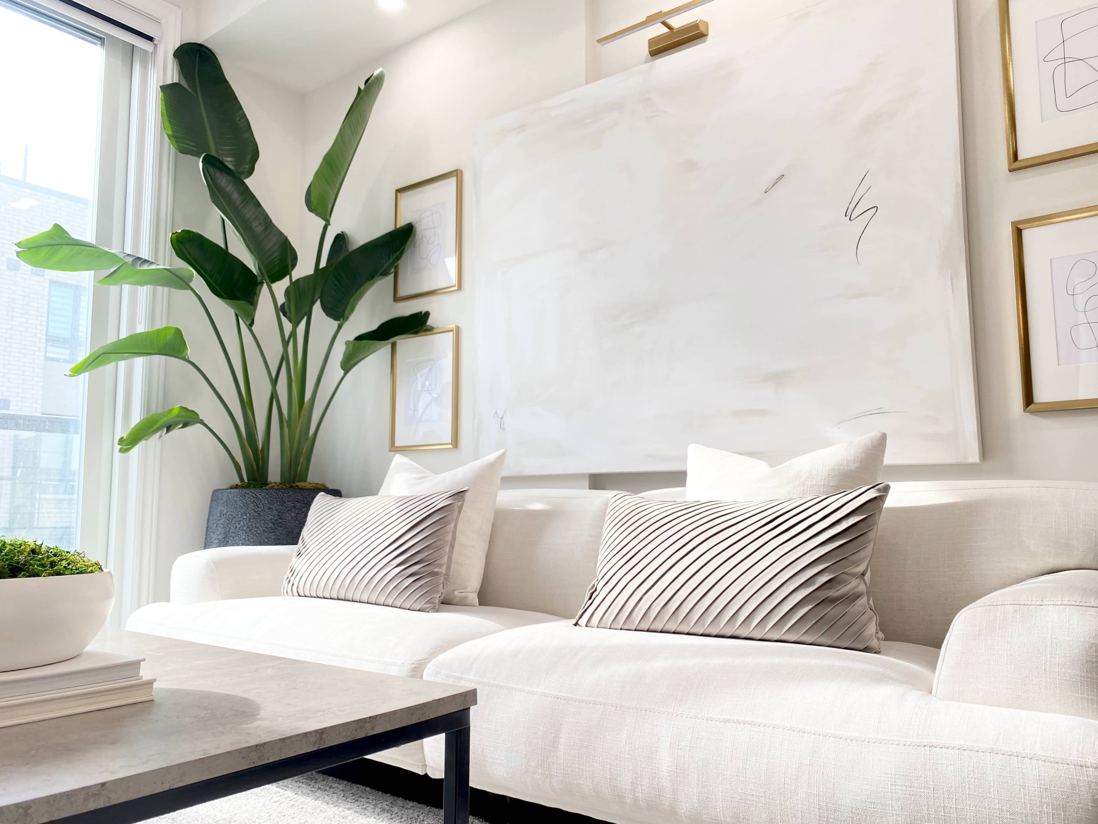 A modern living room with a white sofa adorned with decorative pillows, a potted plant in the corner, and framed abstract art on the walls.