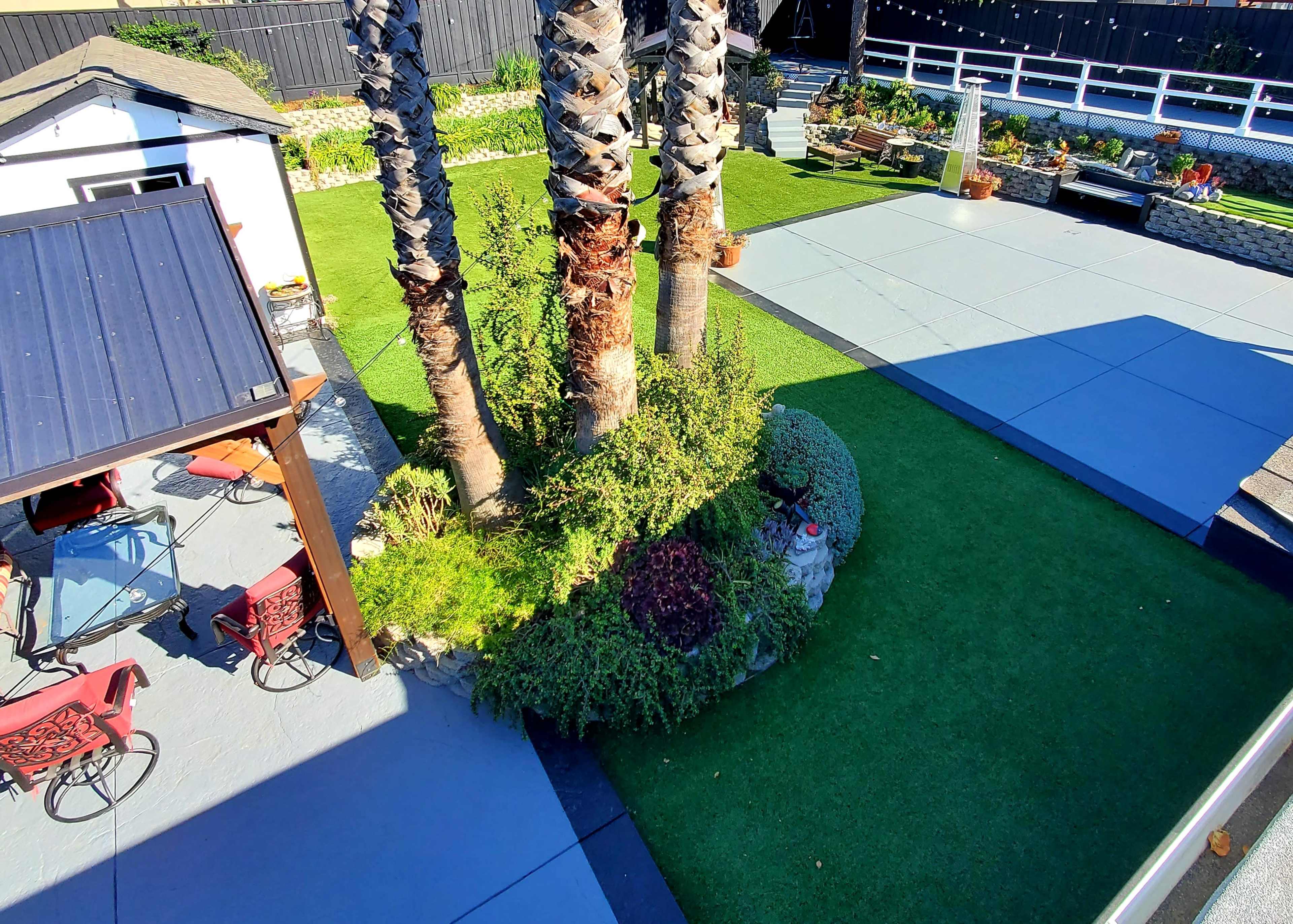 A landscaped backyard featuring palm trees, a patio area with chairs, and various plants in well-defined sections.