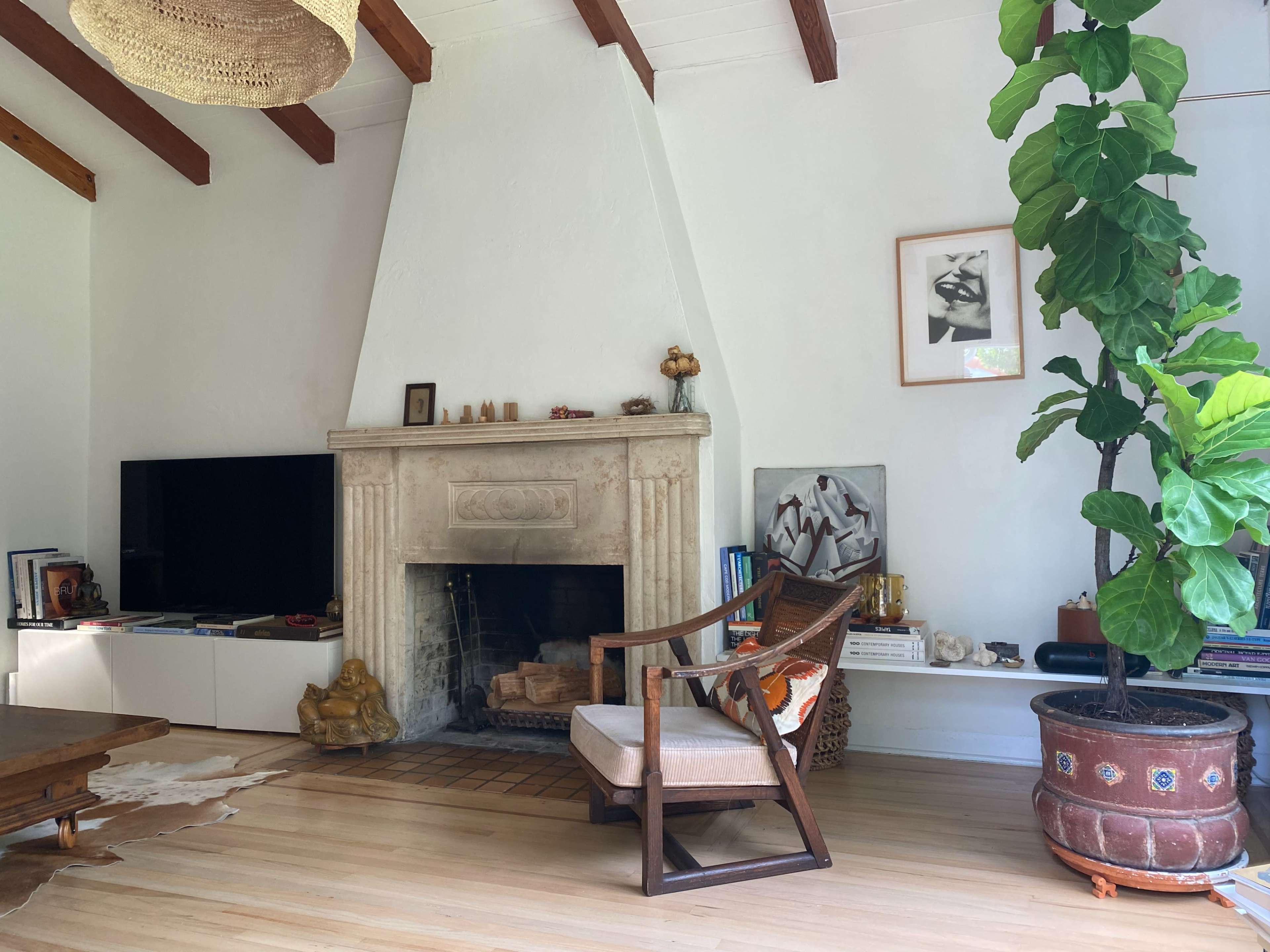 The image shows a cozy living room featuring a decorative fireplace, a television, a wooden chair, a large potted plant, and various decorative items on a shelf.