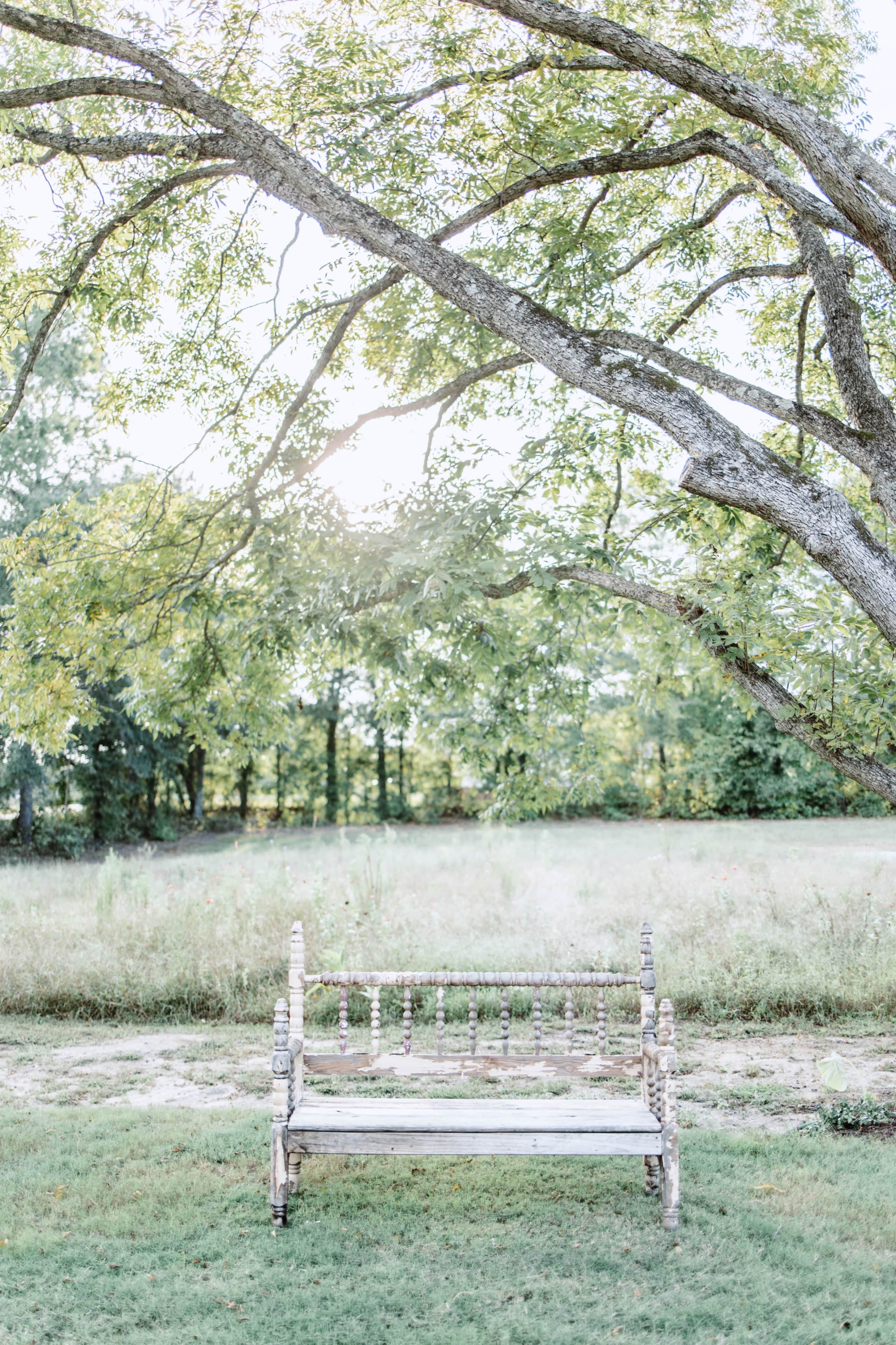 A rustic bench sits under a tree in a grassy field, framed by dappled sunlight.