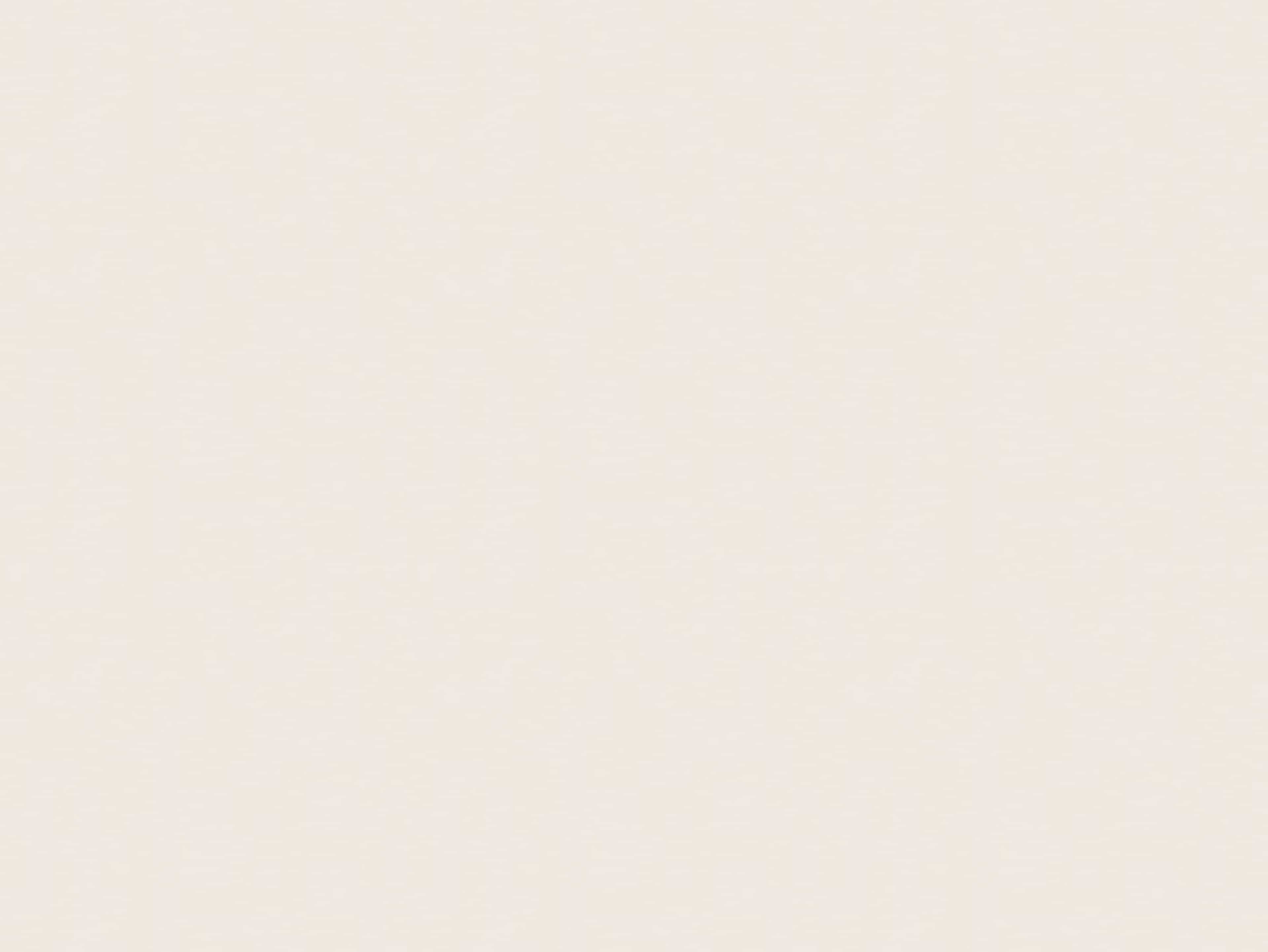 Backdrop — Creme — Seamless