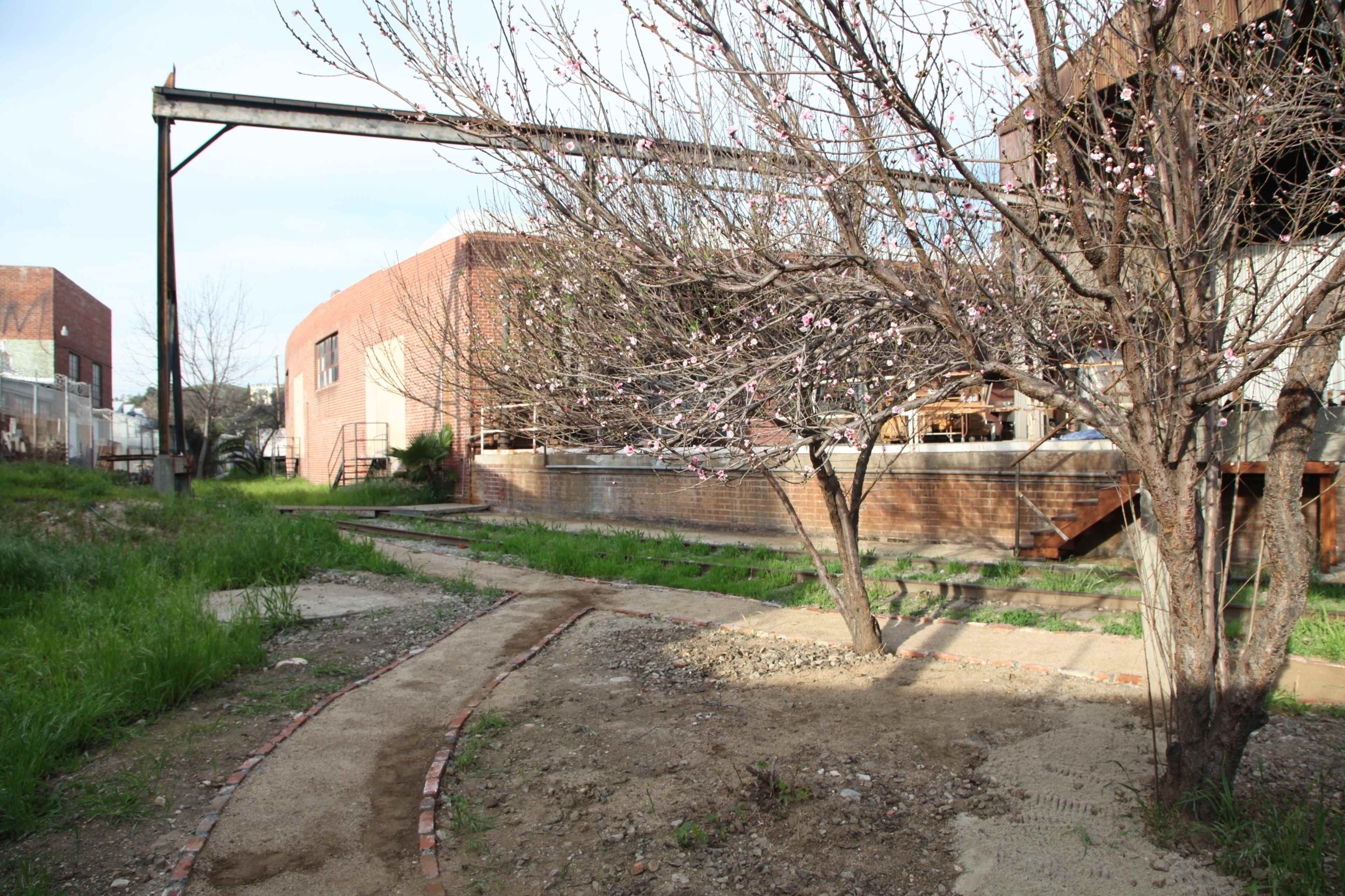 The image shows a pathway winding through an overgrown area with a flowering tree and a brick building in the background.