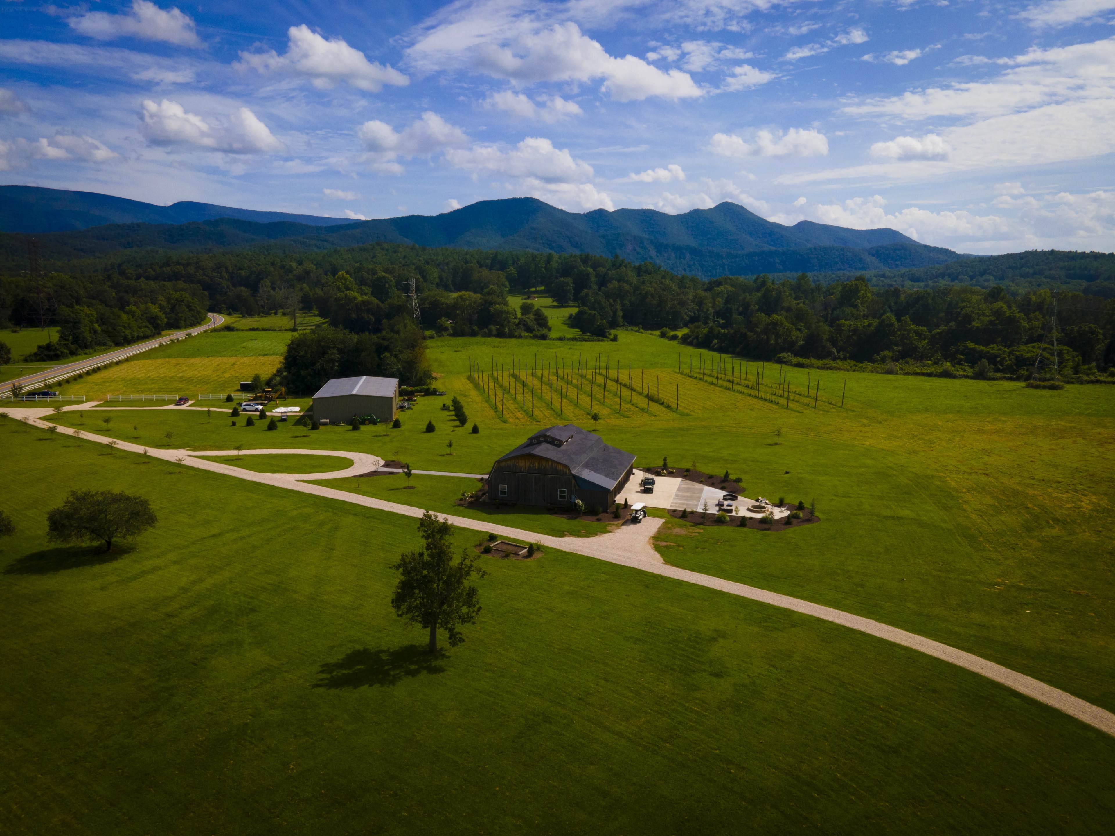 A spacious green landscape with a vineyard, a house, and a road leading toward the mountains in the background.