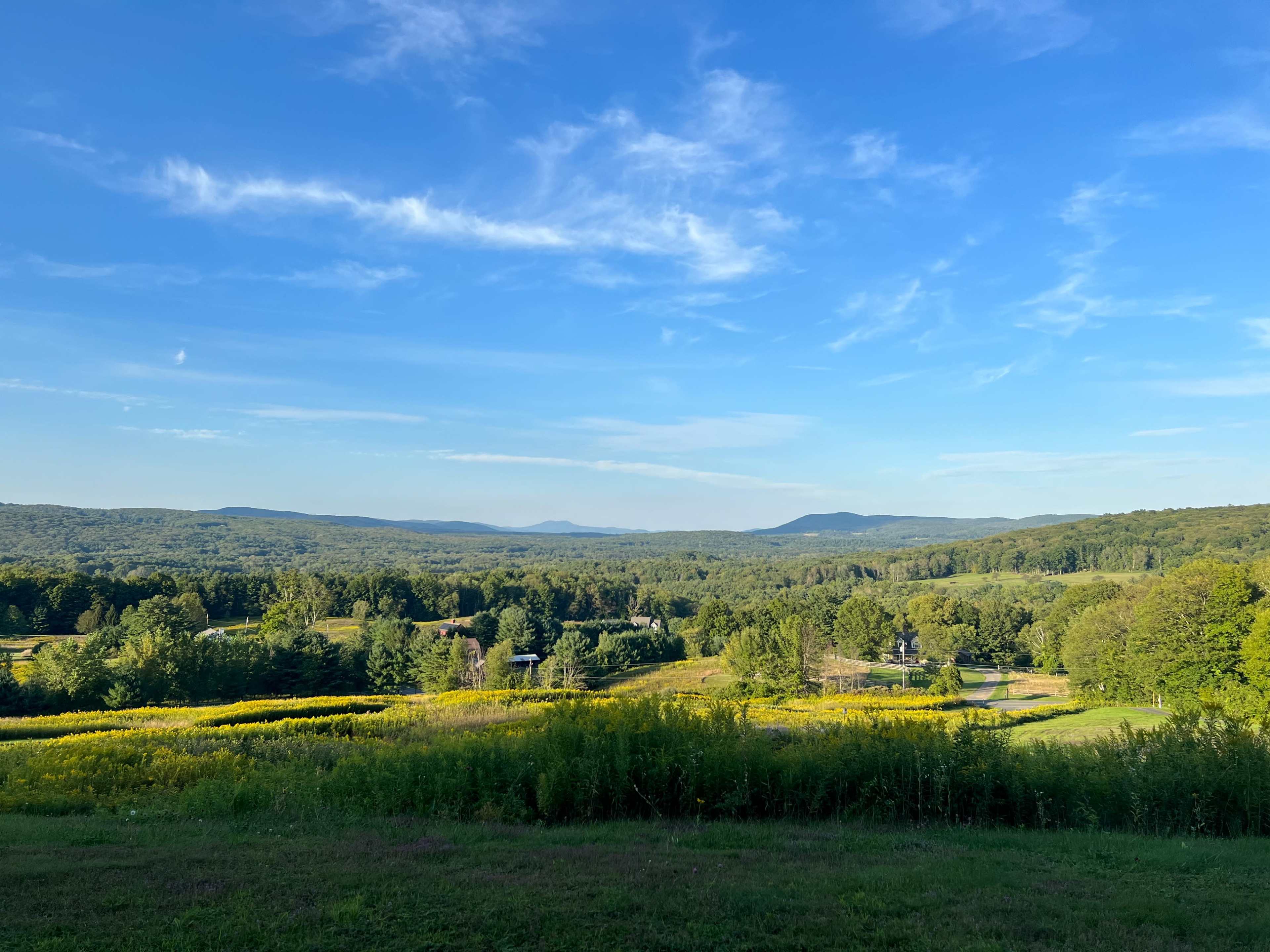 A panoramic view of rolling hills covered in lush greenery with a clear blue sky.