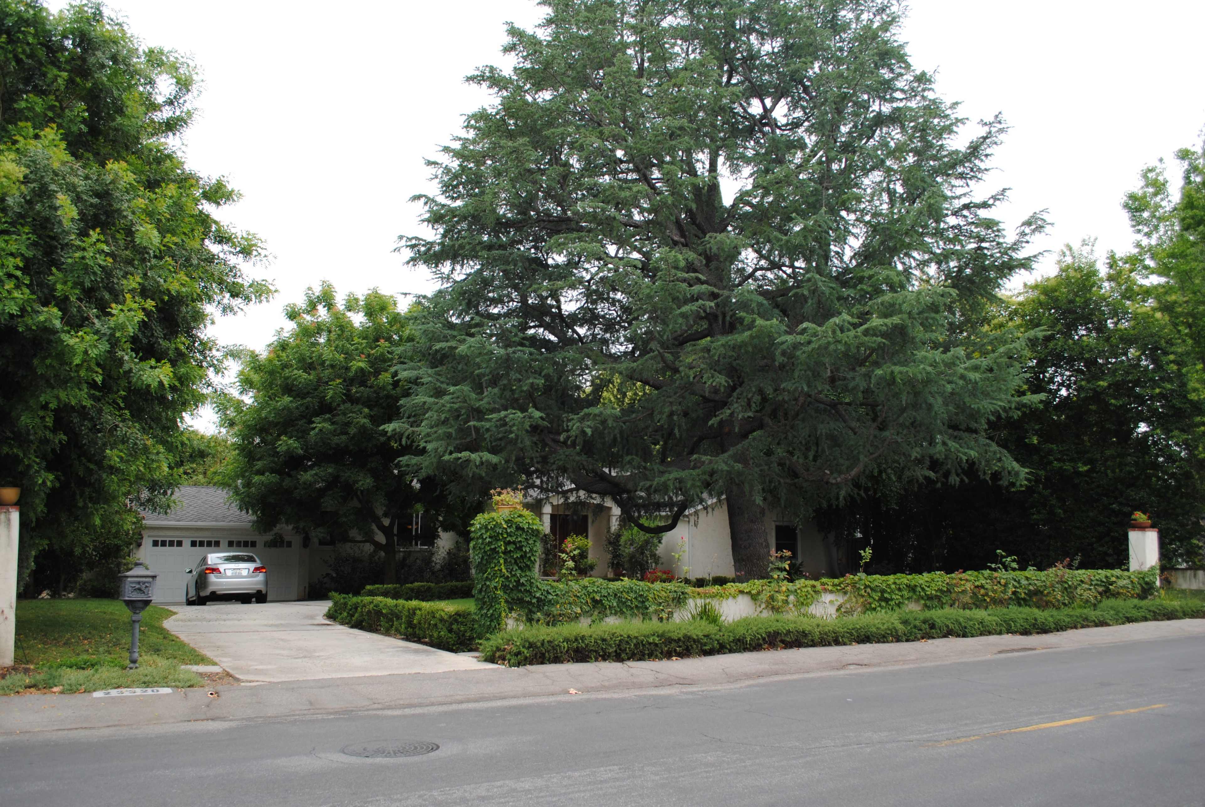 A large house with a driveway, surrounded by lush trees and bushes, sits along a quiet street.