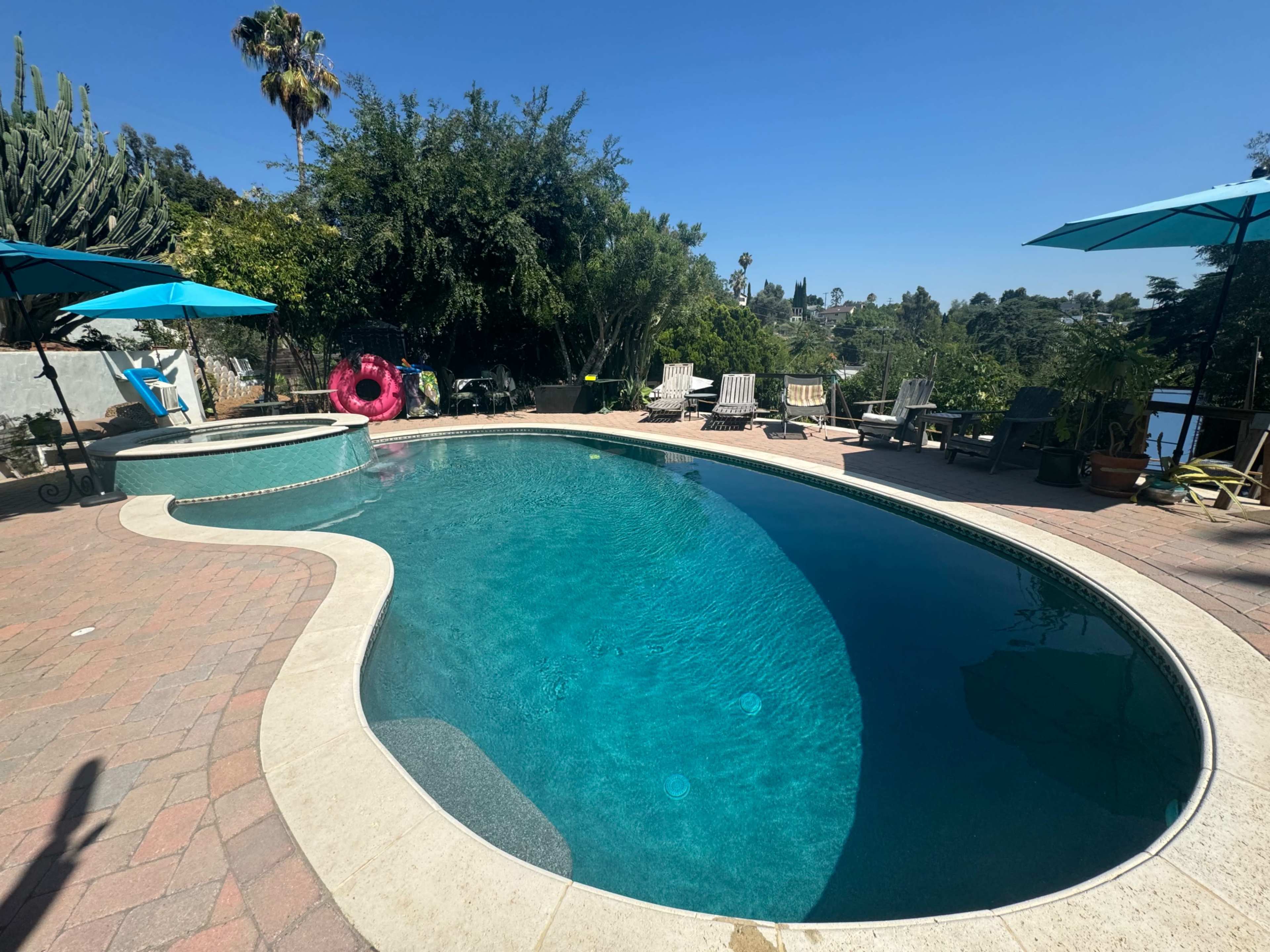 The image shows a backyard swimming pool surrounded by lounge chairs and umbrellas, with greenery in the background.