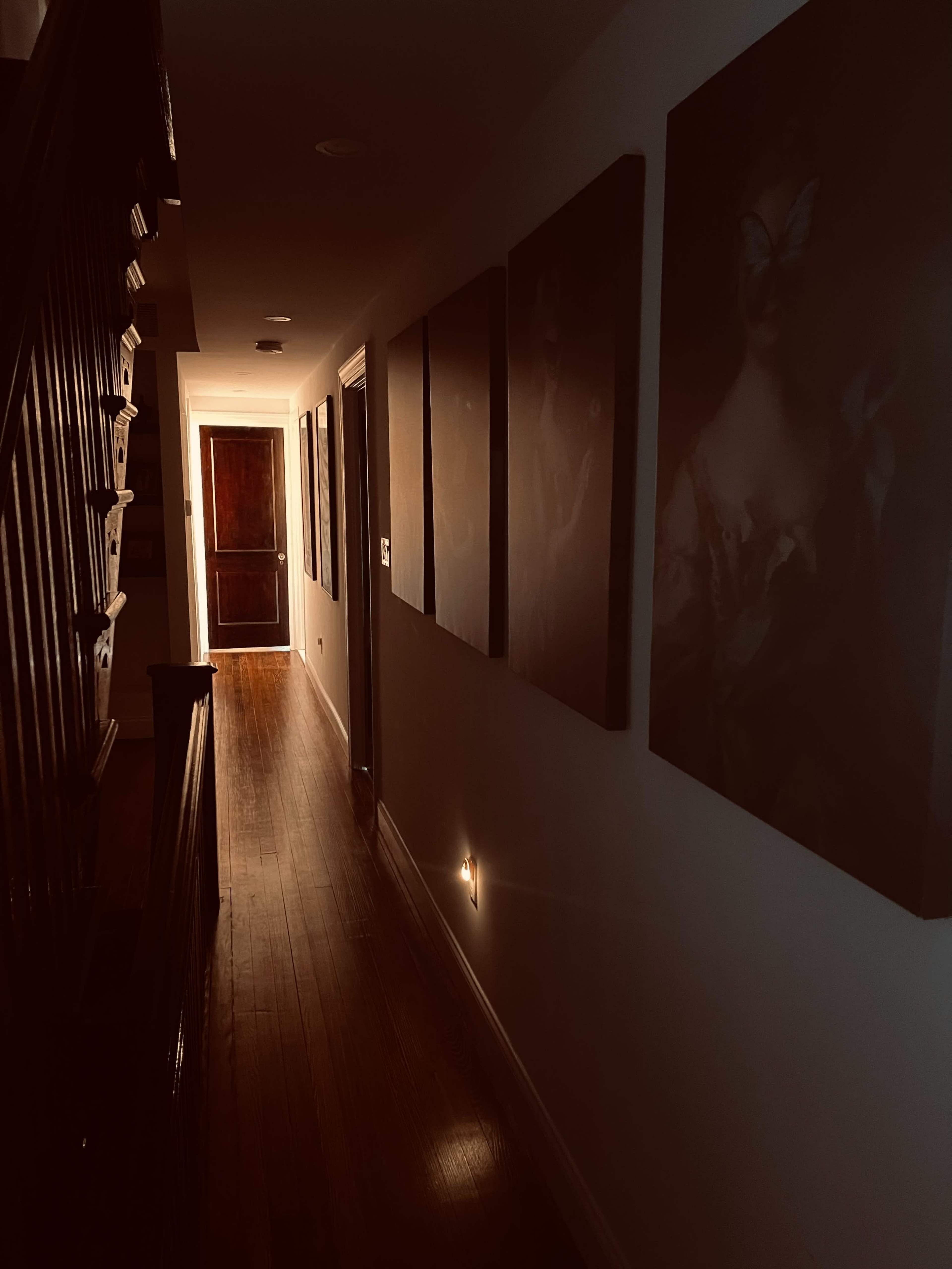A narrow hallway features wooden floors and walls adorned with framed artwork, leading to a door at the far end.