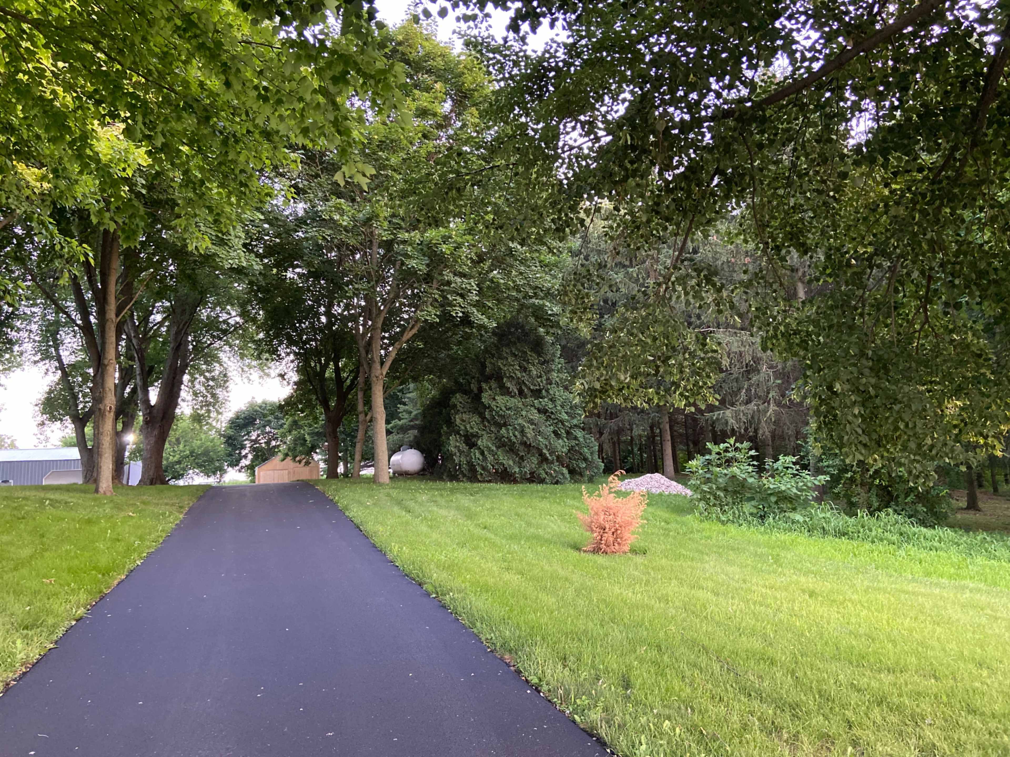 A black asphalt driveway leads through a green landscape with trees on either side and a patch of grass on the left.