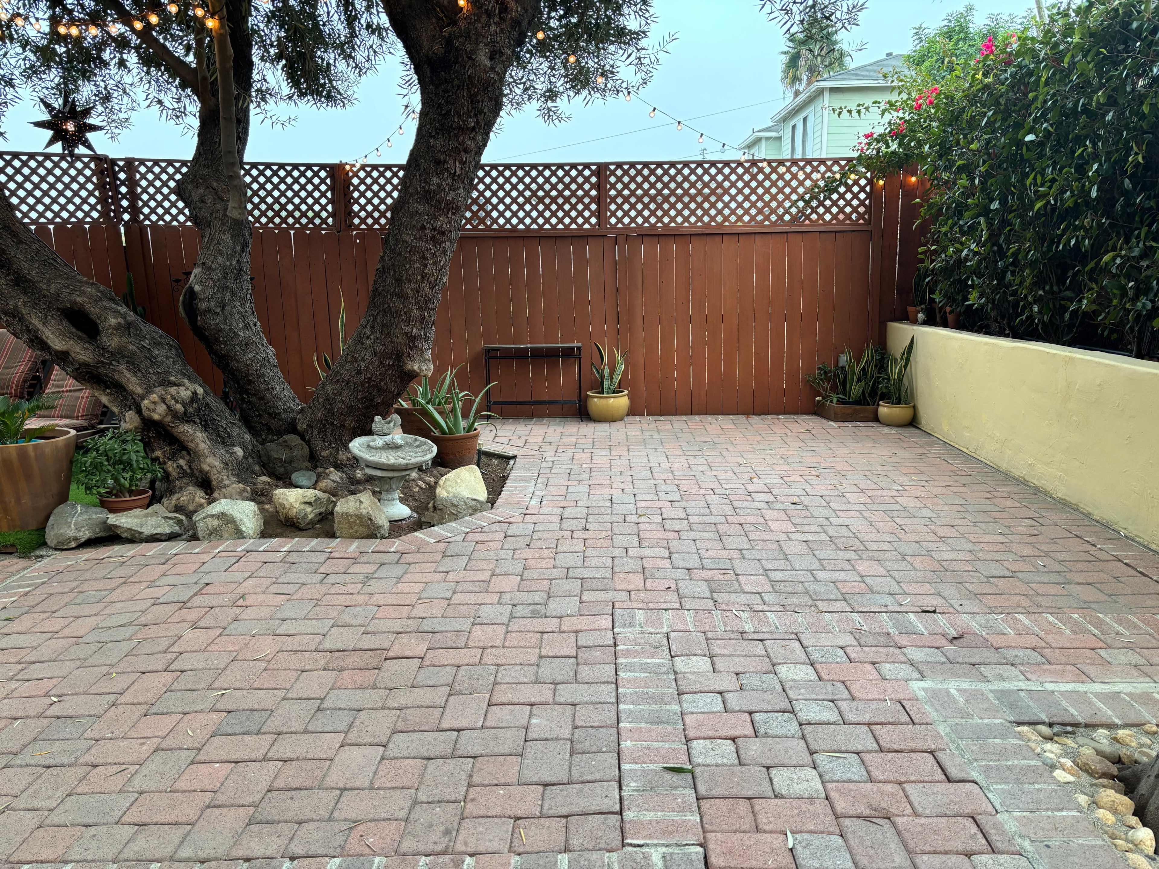 The image shows a patio area with brick paving, two trees, and several potted plants beside a wooden fence.