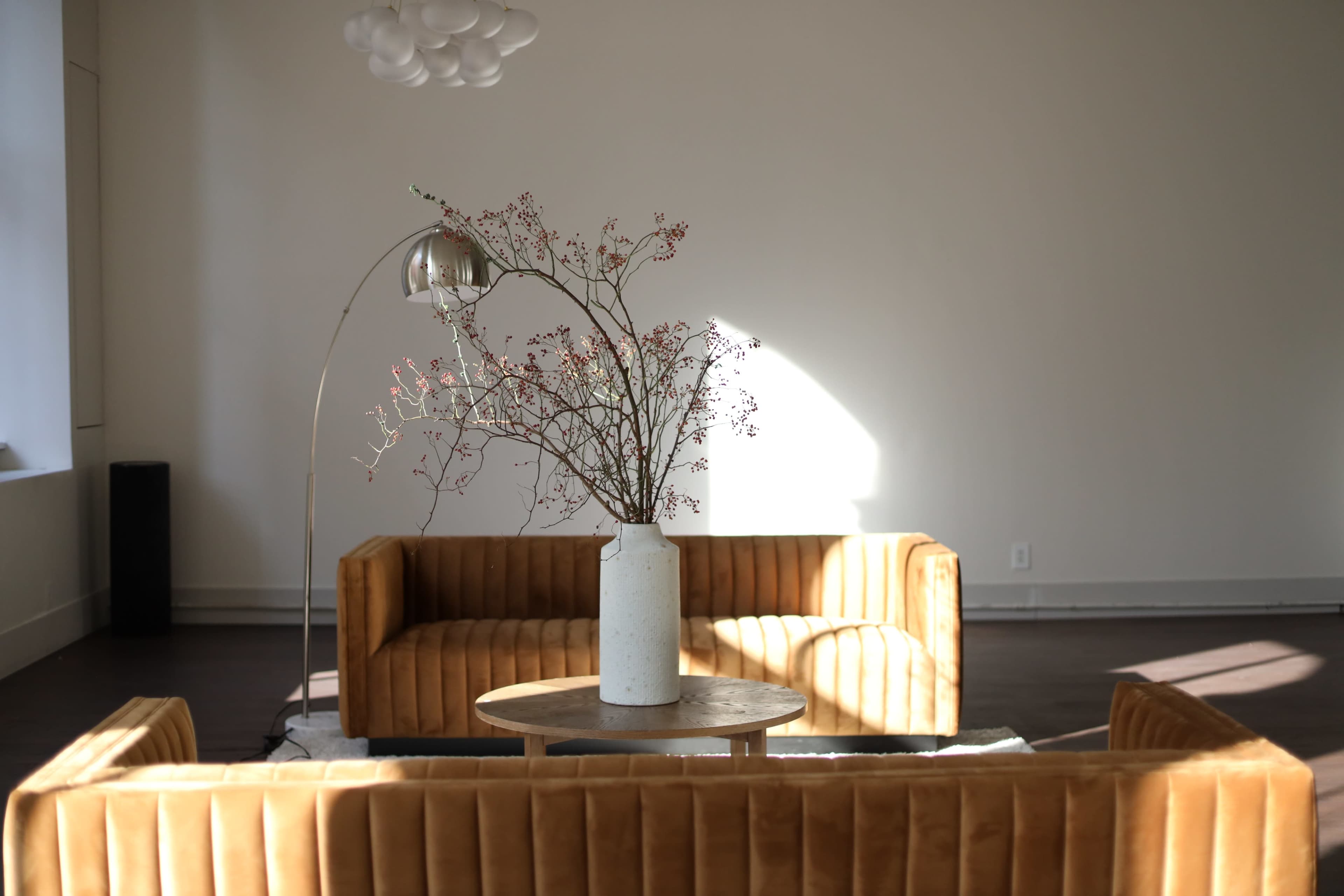 The image shows a minimalist living room with two tan velvet sofas facing each other, a round coffee table in the center, and a tall vase with branches on the table.