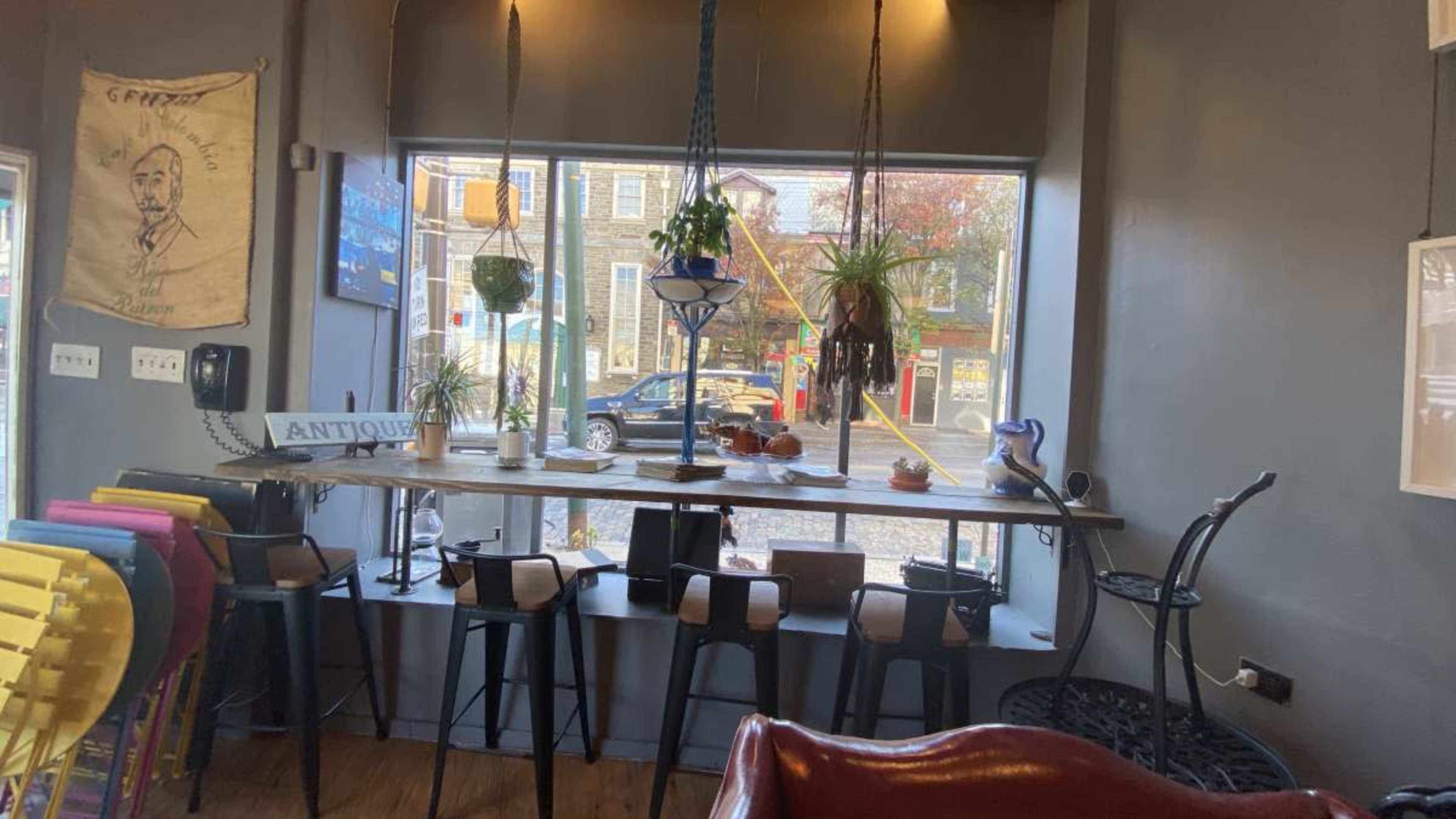 The image shows a café interior with colorful chairs and a long countertop along a window, adorned with hanging plants and decorative items.
