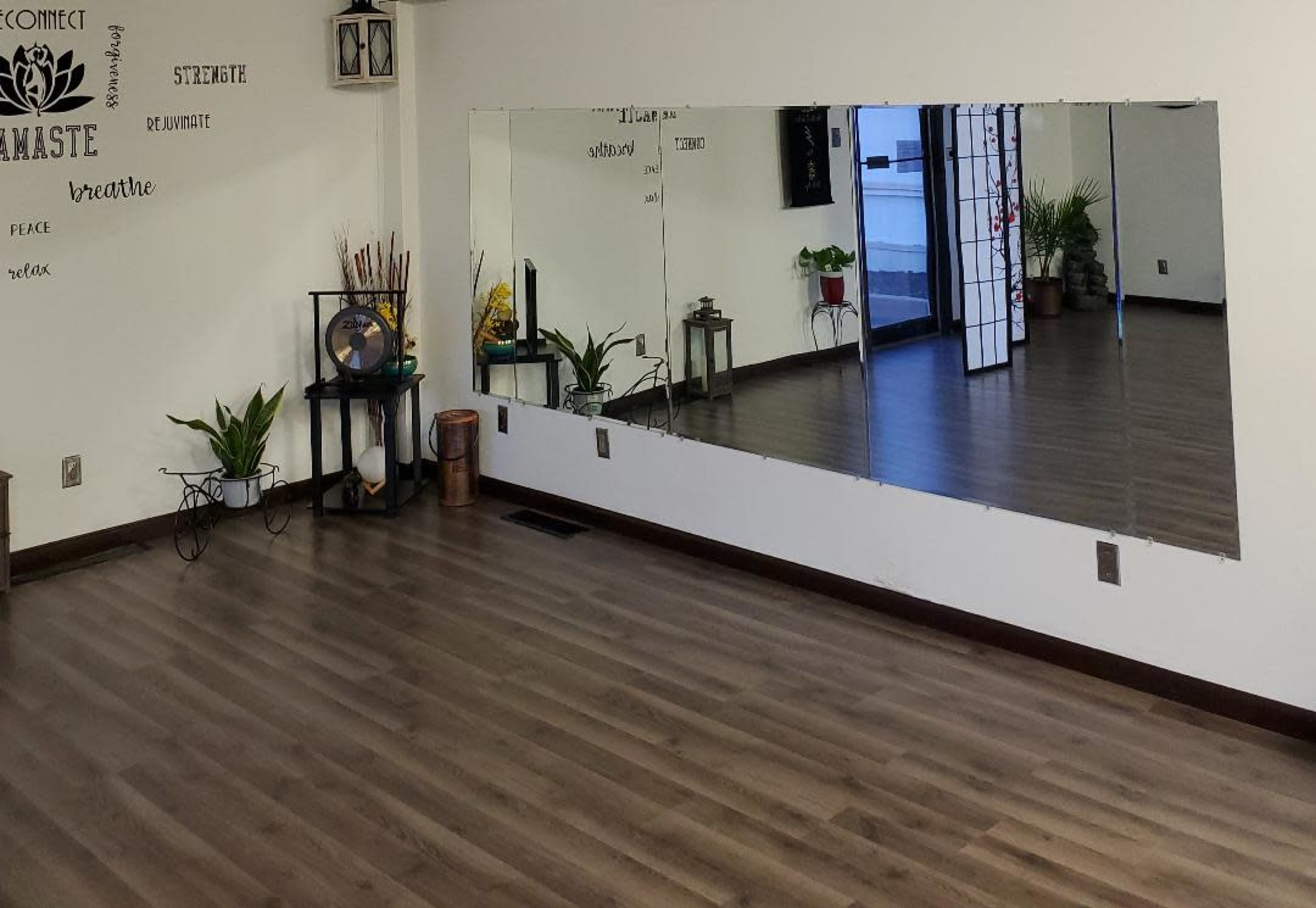 A spacious room with wooden flooring, a large mirror along one wall, and several potted plants placed around the area.