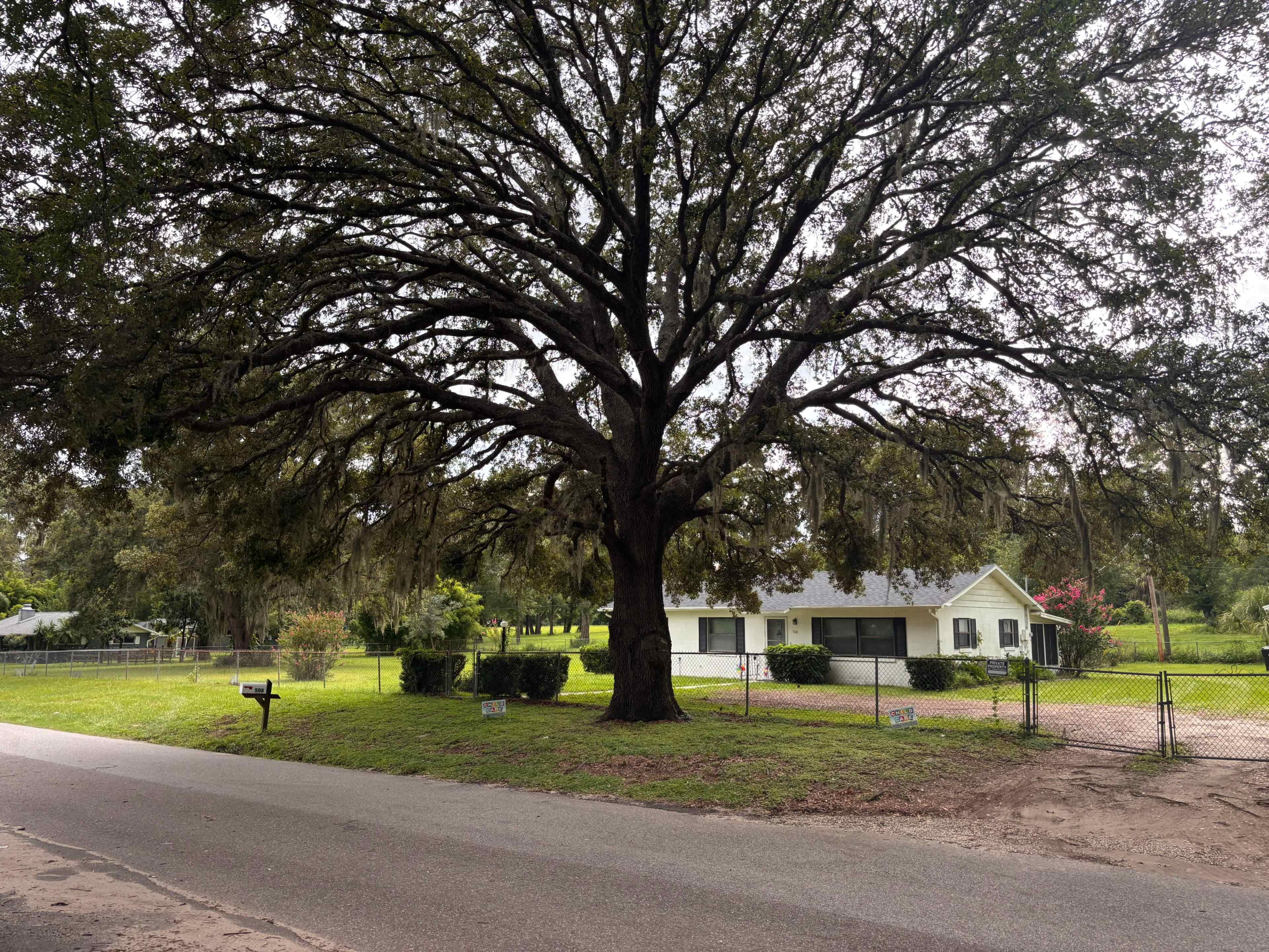 Versatile Outdoor Acres in Apopka – Where Parties and Memories Bloom Image in Apopka, Apopka, FL