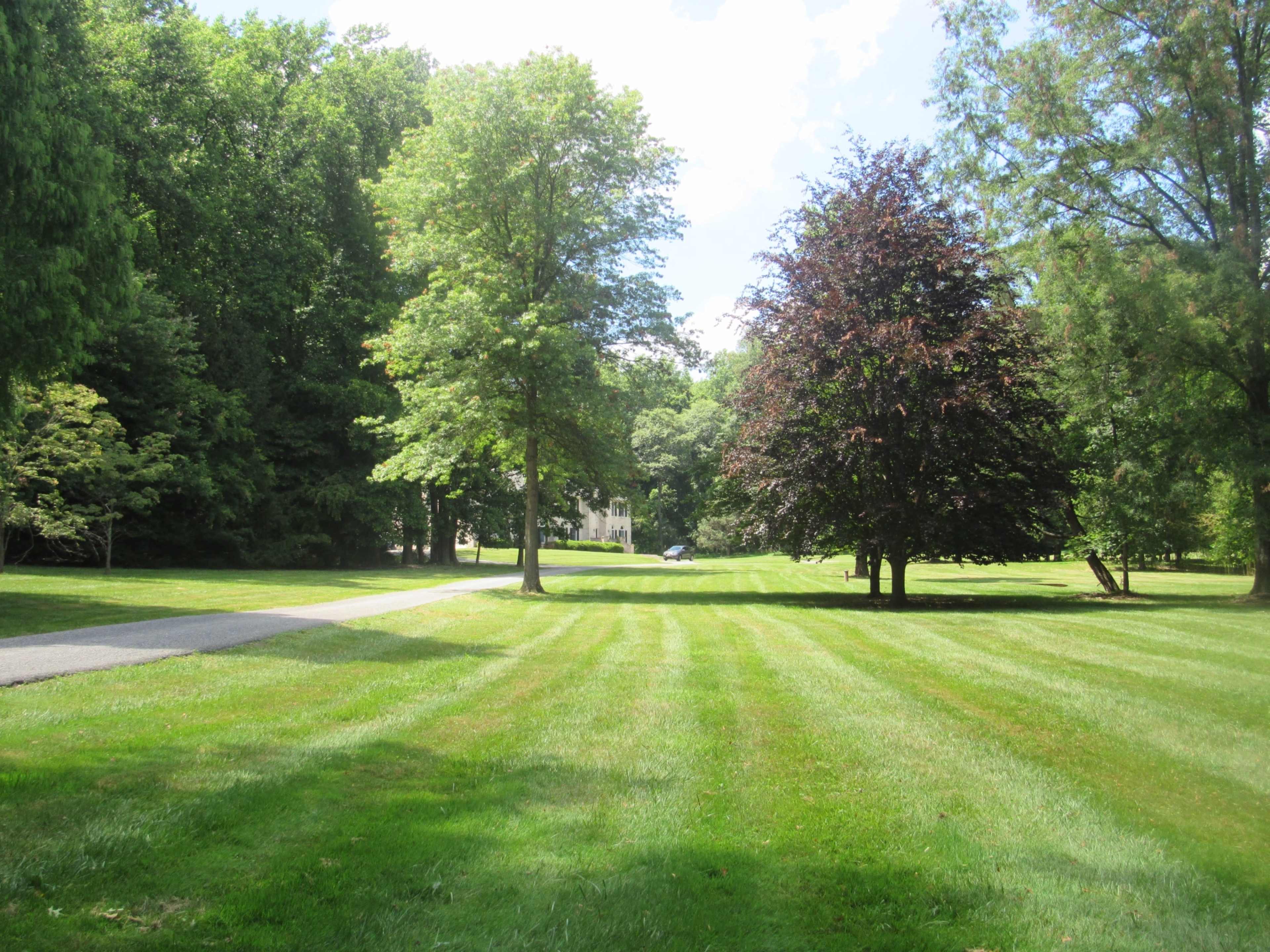 A manicured lawn with striped grass stretches between two trees leading towards a house in the background.
