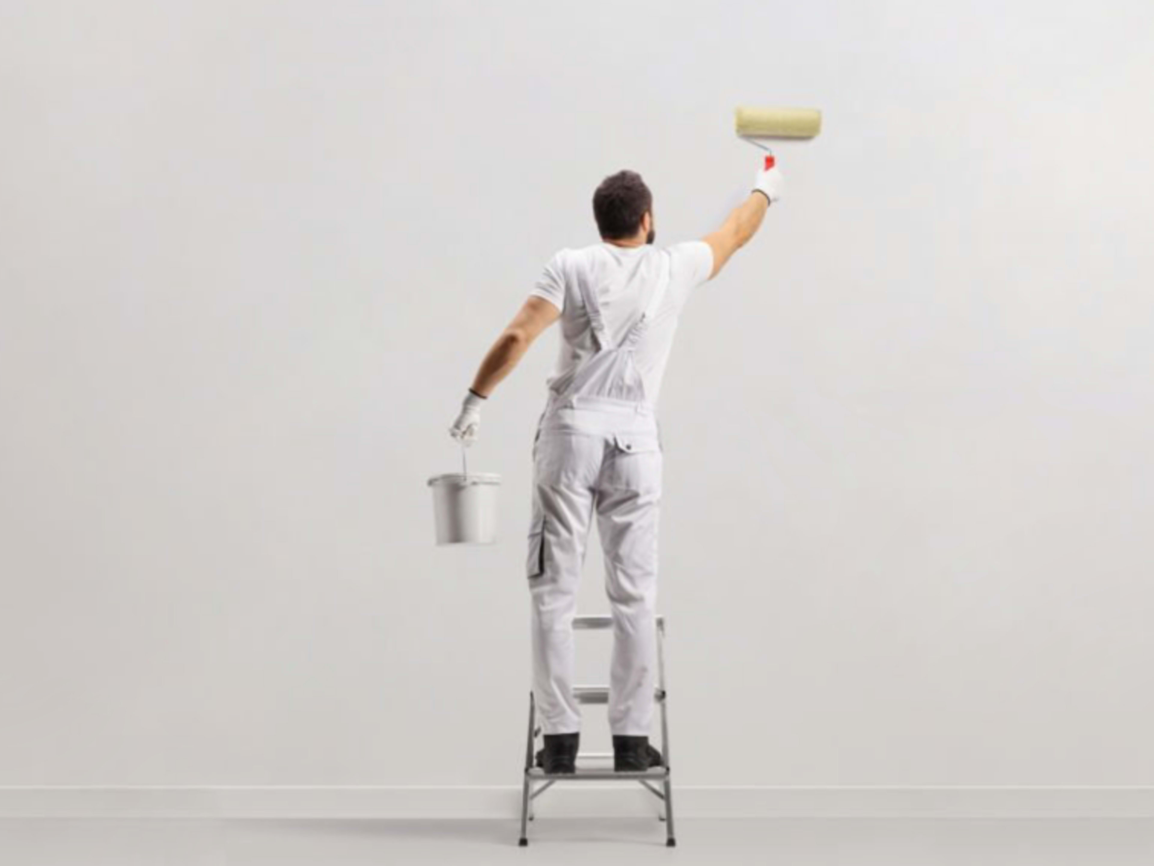 Fresh Paint CYC wall