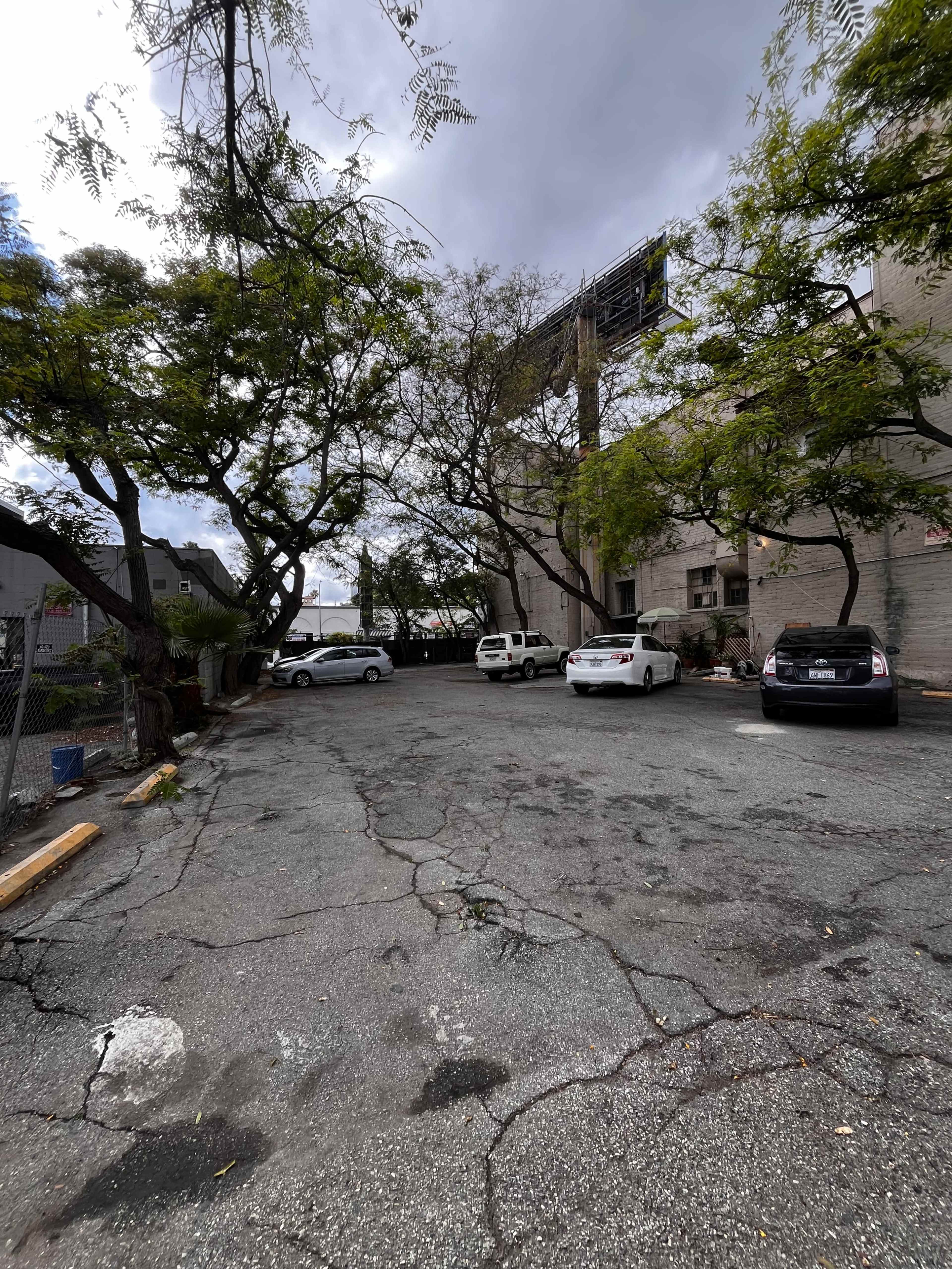 The image shows a cracked parking lot surrounded by trees, with several parked cars and a partially visible building in the background.
