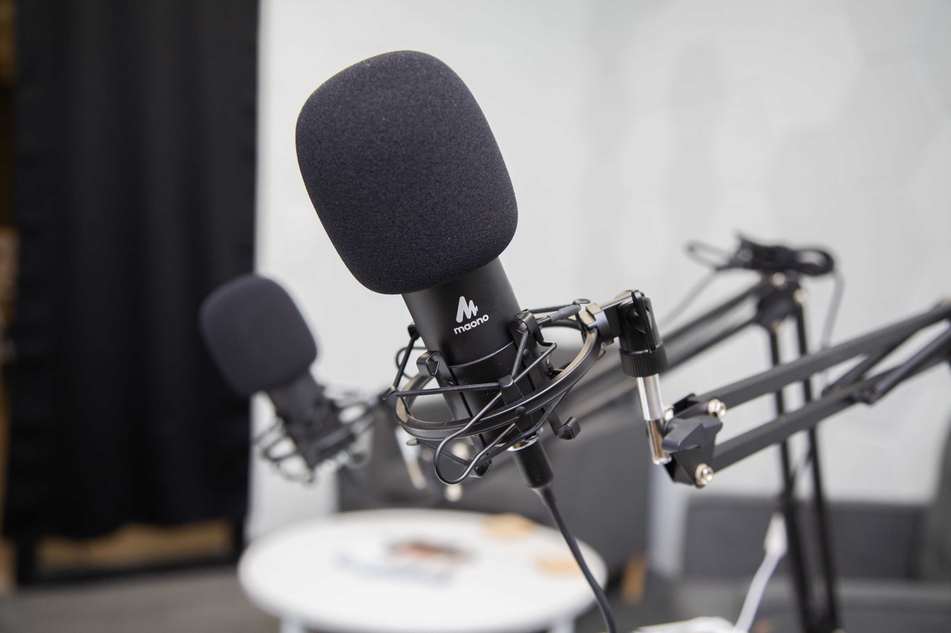 The image shows two black microphones mounted on adjustable arms in a recording studio setting.