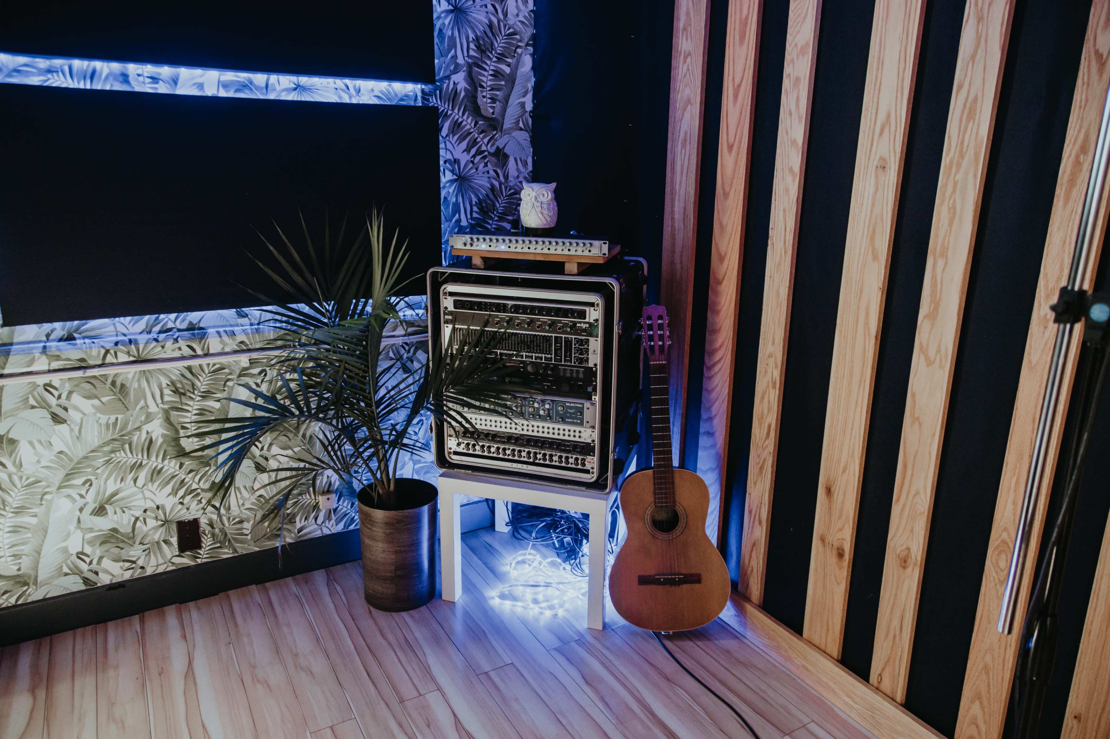 A wooden floor space features a rack of audio equipment beside a guitar and a potted plant against a backdrop of patterned wallpaper and wooden paneling.