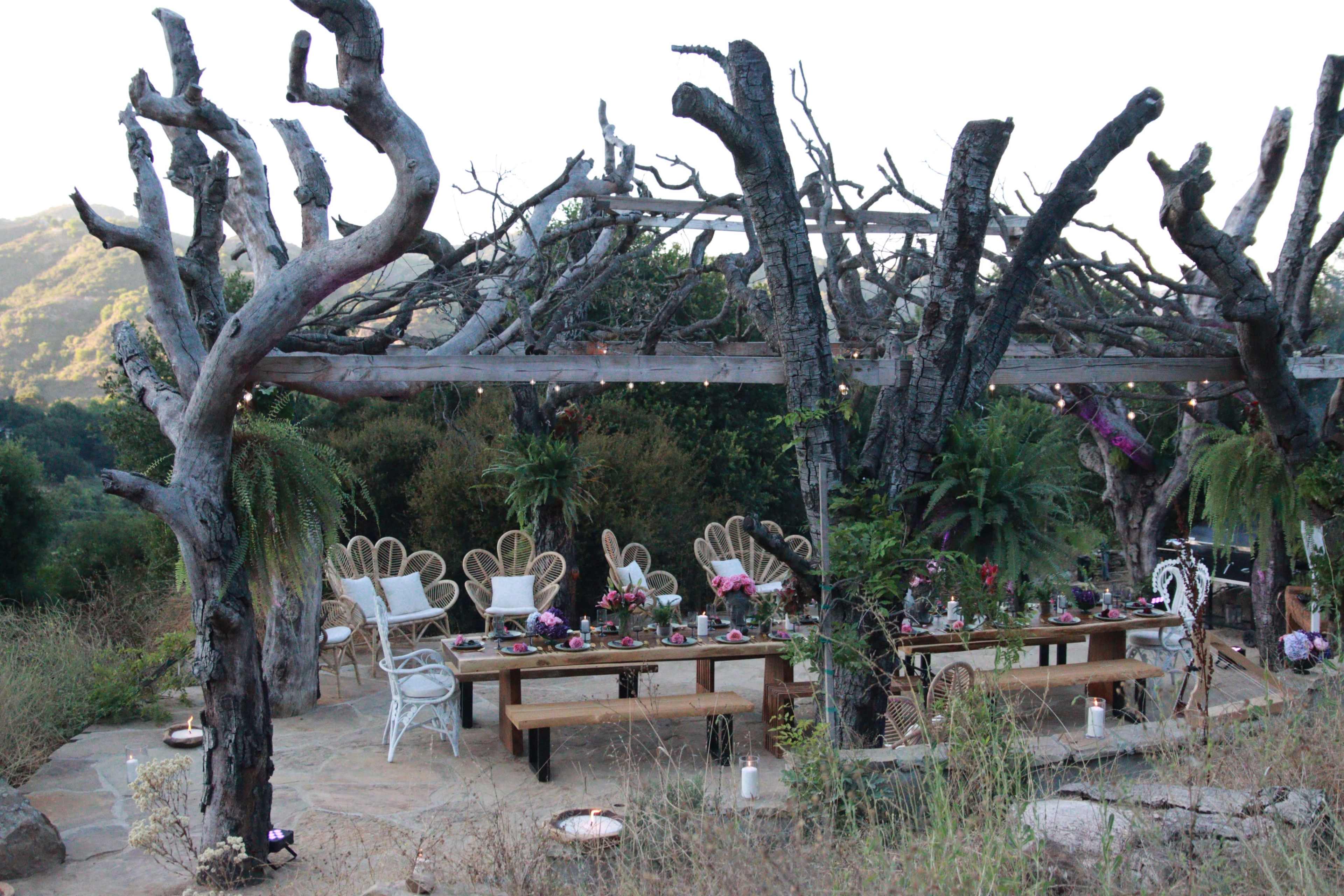 A wooden dining area is set beneath a trellis with bare branches, surrounded by greenery and decorated with floral arrangements.