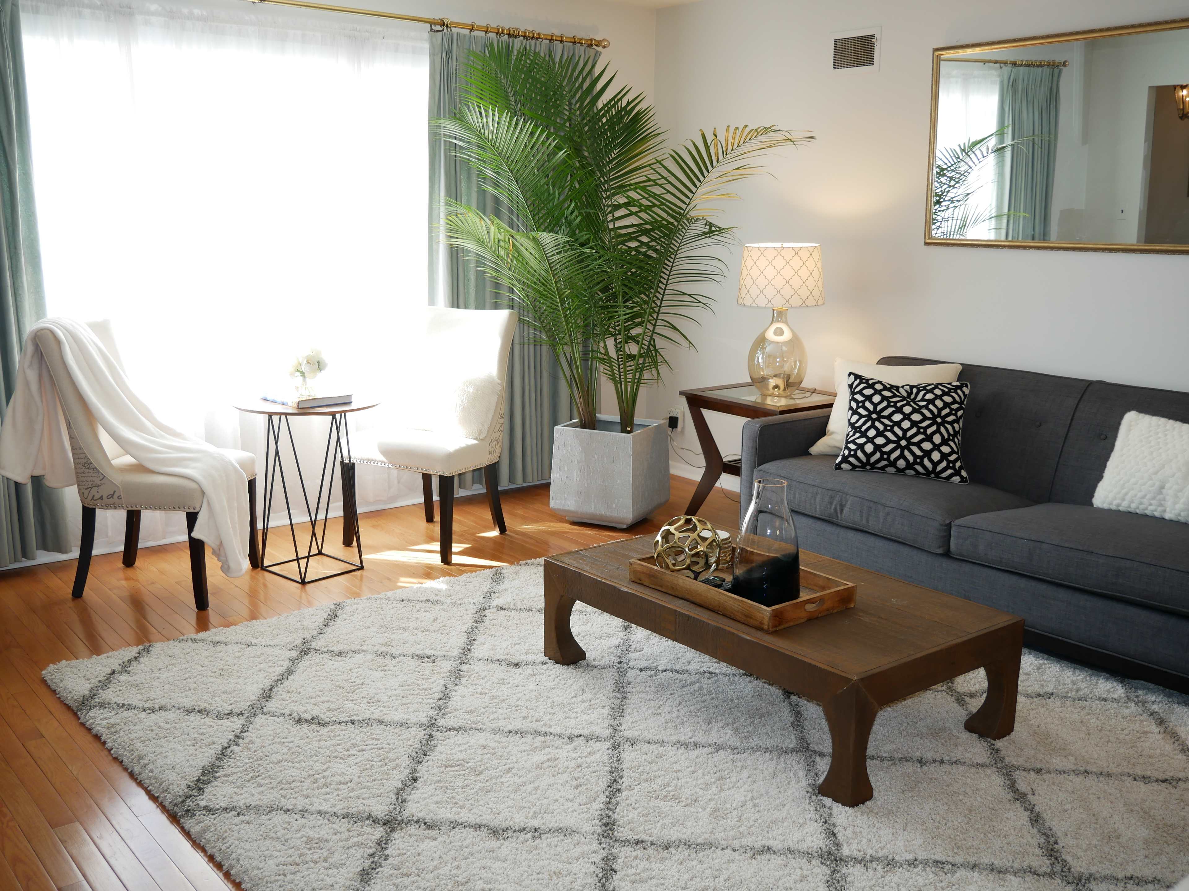 A well-lit living room featuring a gray sofa, an accent table with a lamp, a potted plant, and a decorative area rug.