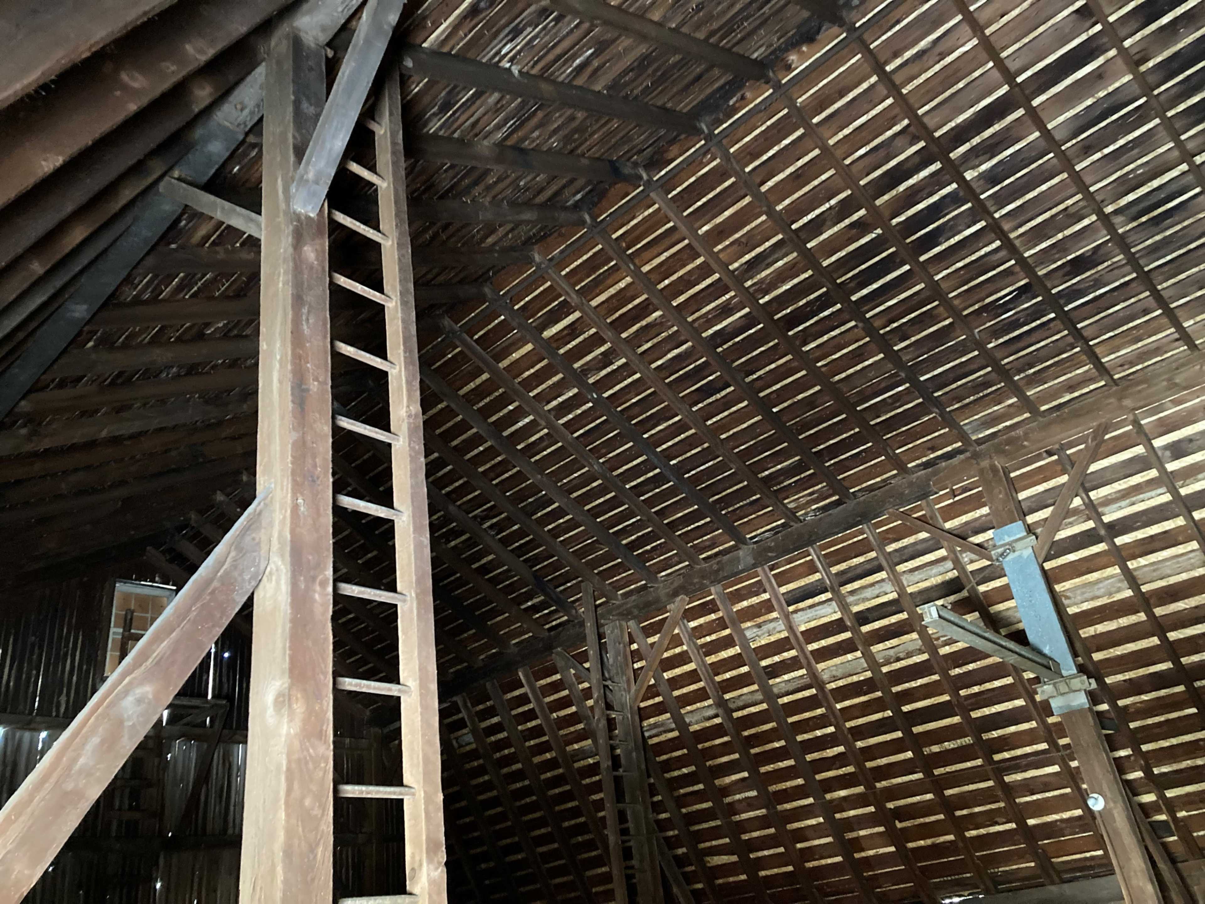 The interior of a wooden barn with a high, slanted ceiling, wooden beams, and a ladder leaning against a wall.