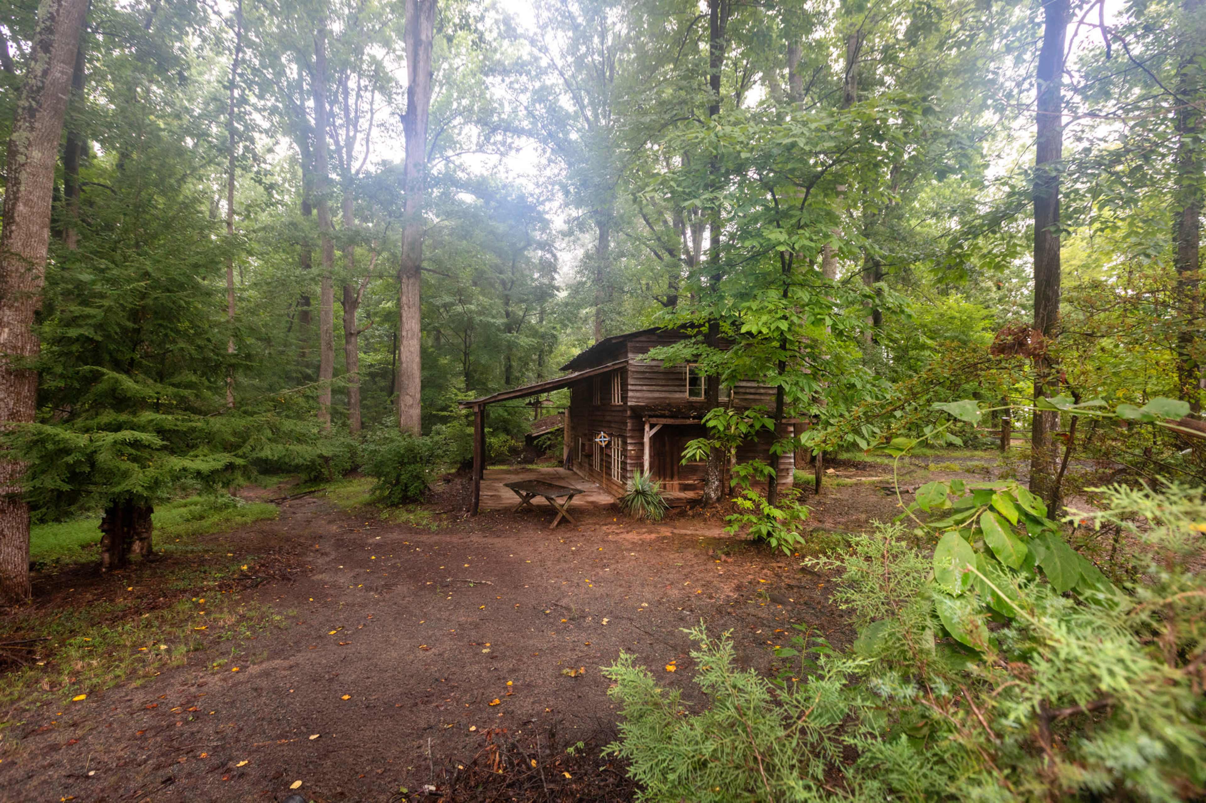 A wooden cabin is nestled among tall trees in a dense forest, surrounded by greenery and a dirt path.