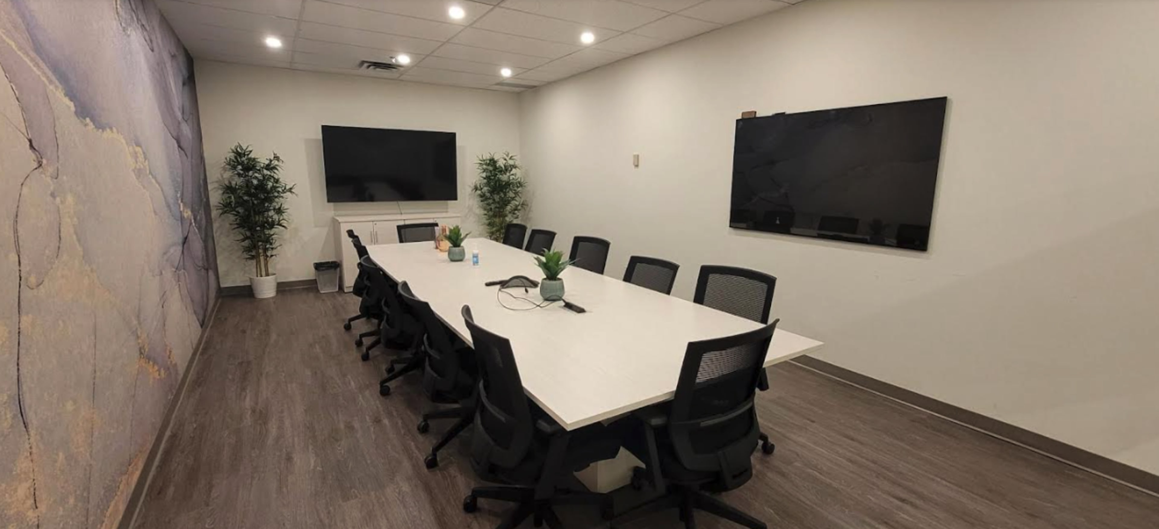 A modern conference room features a long table surrounded by black chairs, with two wall-mounted screens and potted plants.