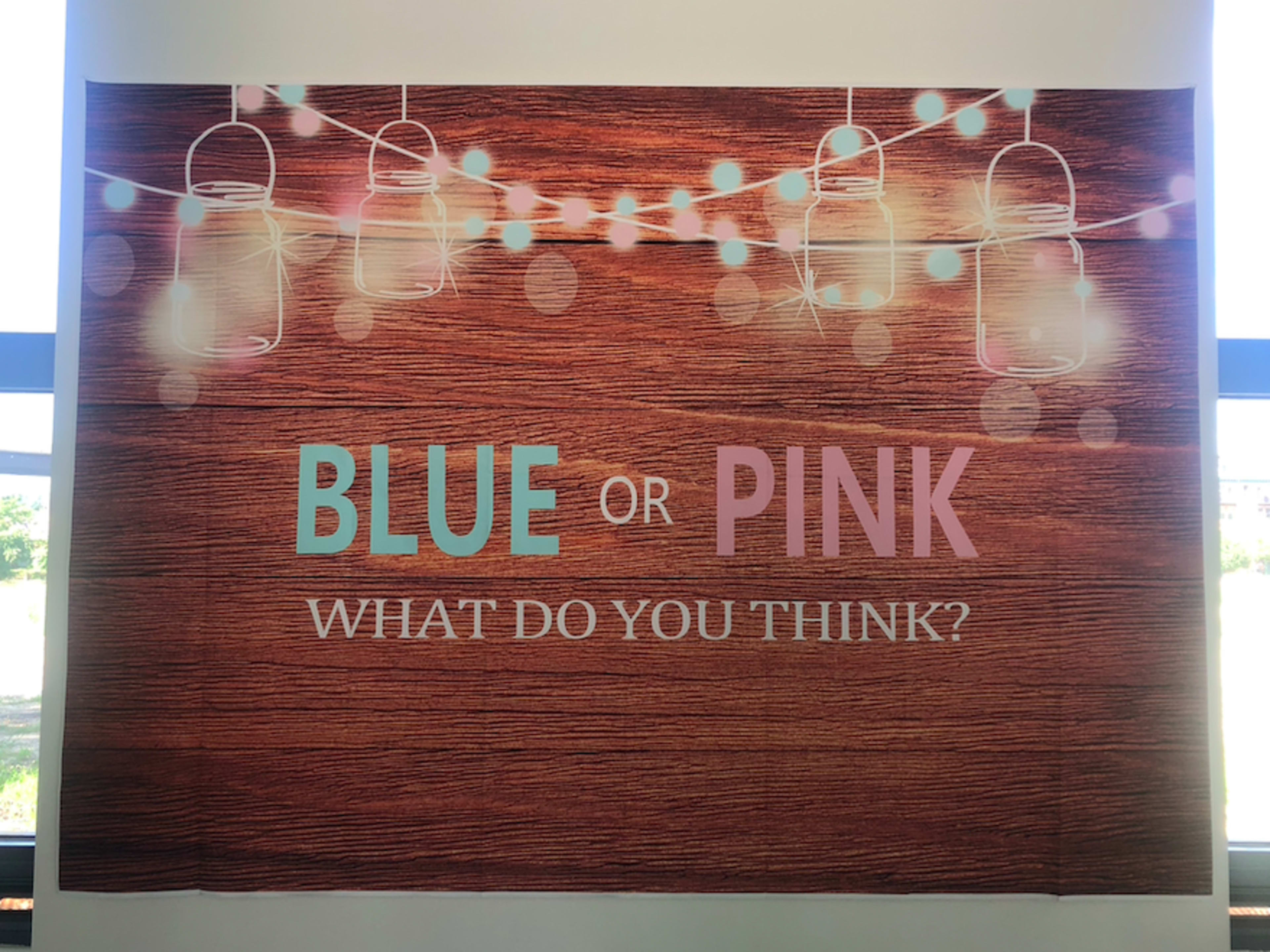 Gender reveal backdrop 
