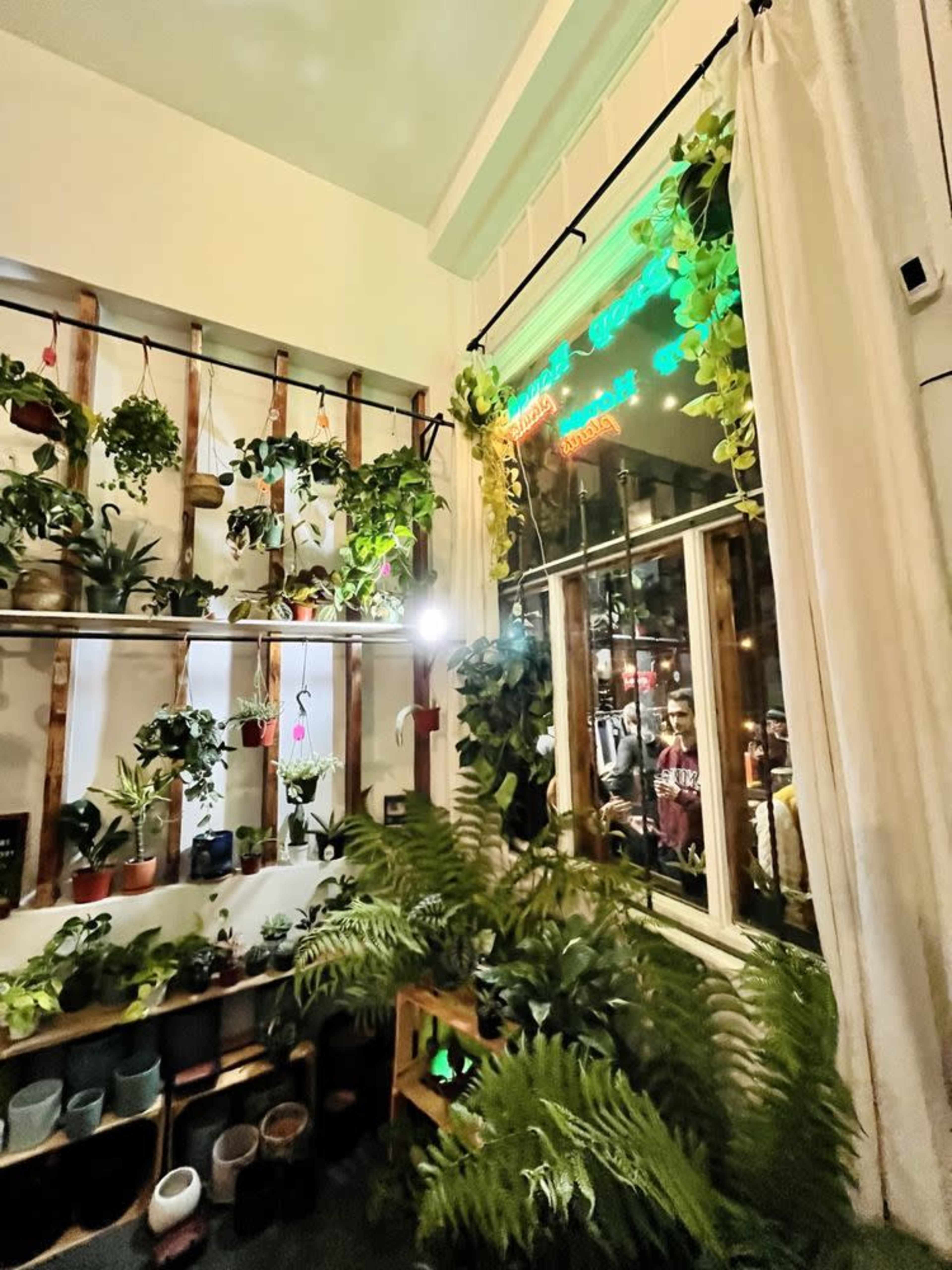The image shows a cozy room filled with various indoor plants arranged on shelves, with a window that reflects a lively street scene outside.