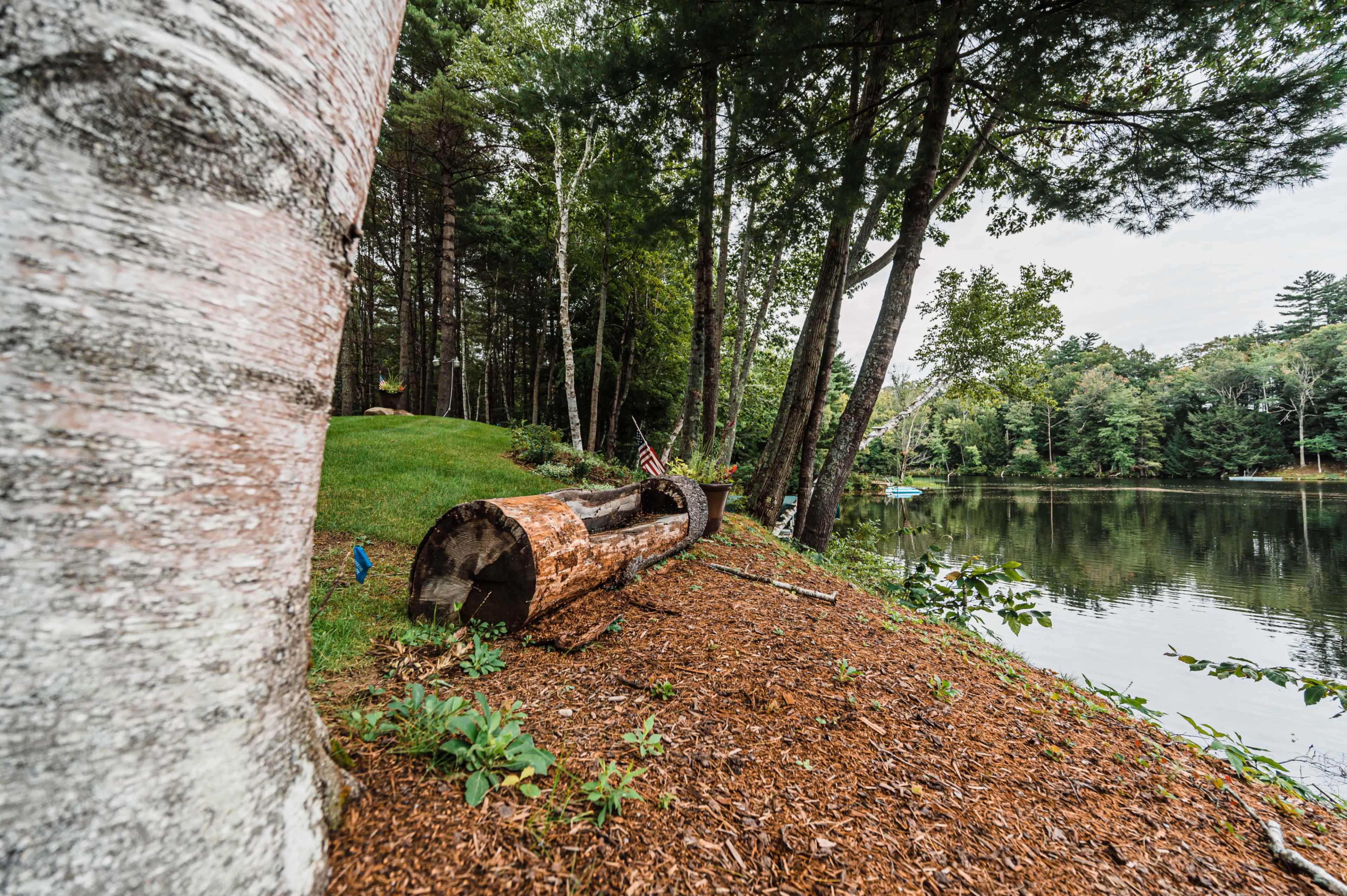 A log rests on the shore of a calm lake surrounded by trees and greenery.