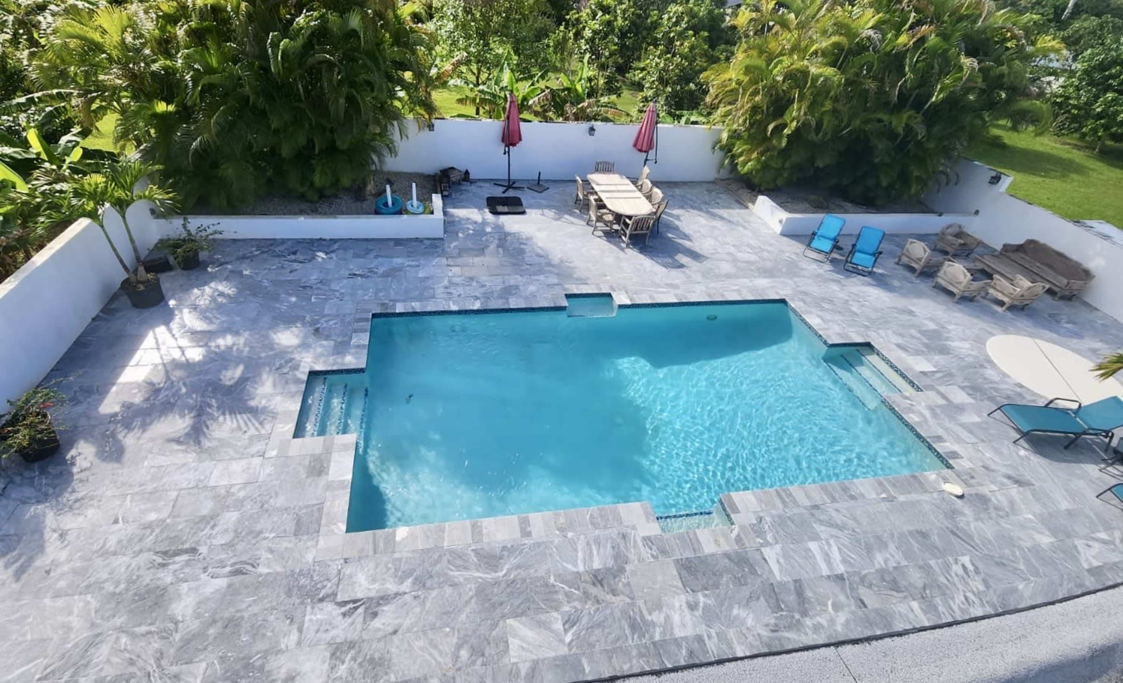 A modern swimming pool surrounded by a gray stone patio and tropical greenery.