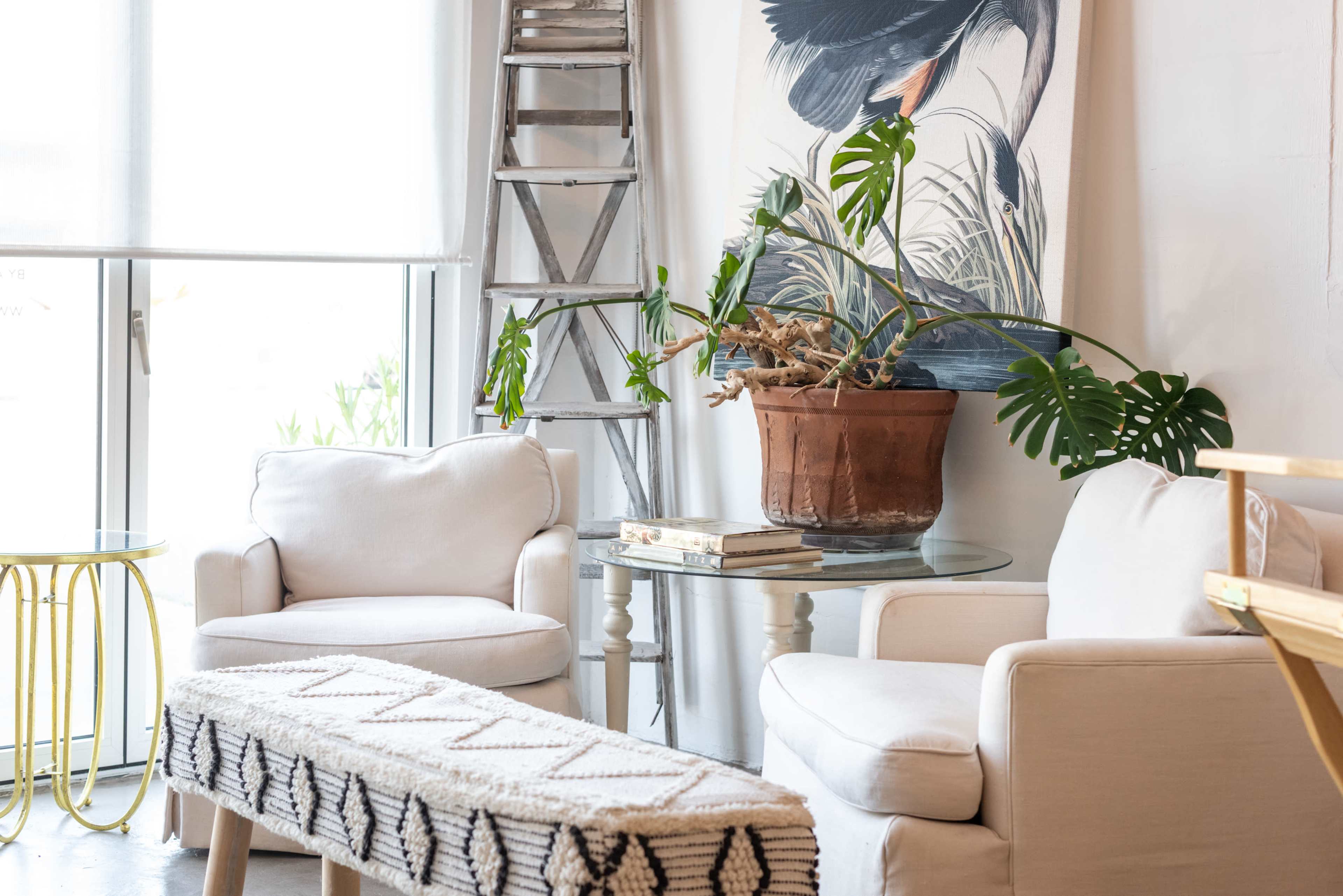 Sunny Sonoma Pop-Up Shop Space Image in Fetters Hot Springs-Agua Caliente, Sonoma, CA