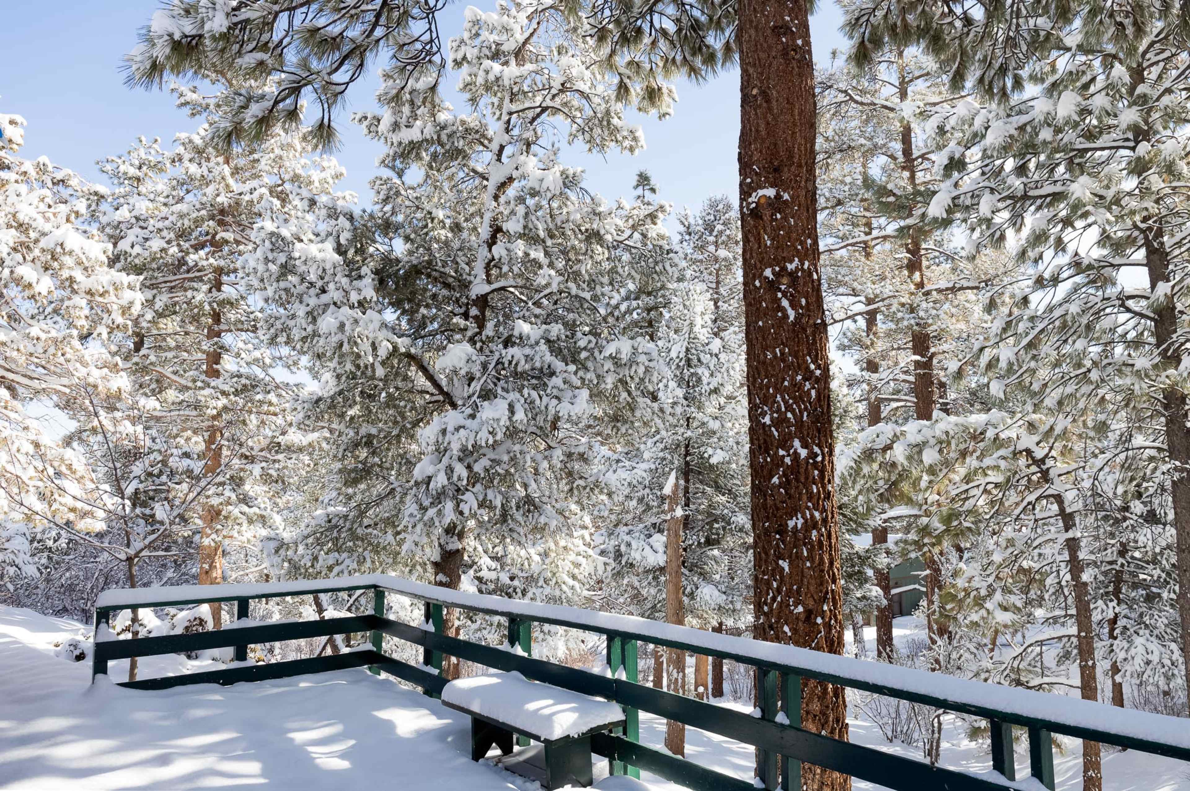 A wooden railing covered in snow overlooks a snow-draped forest with tall evergreen trees.