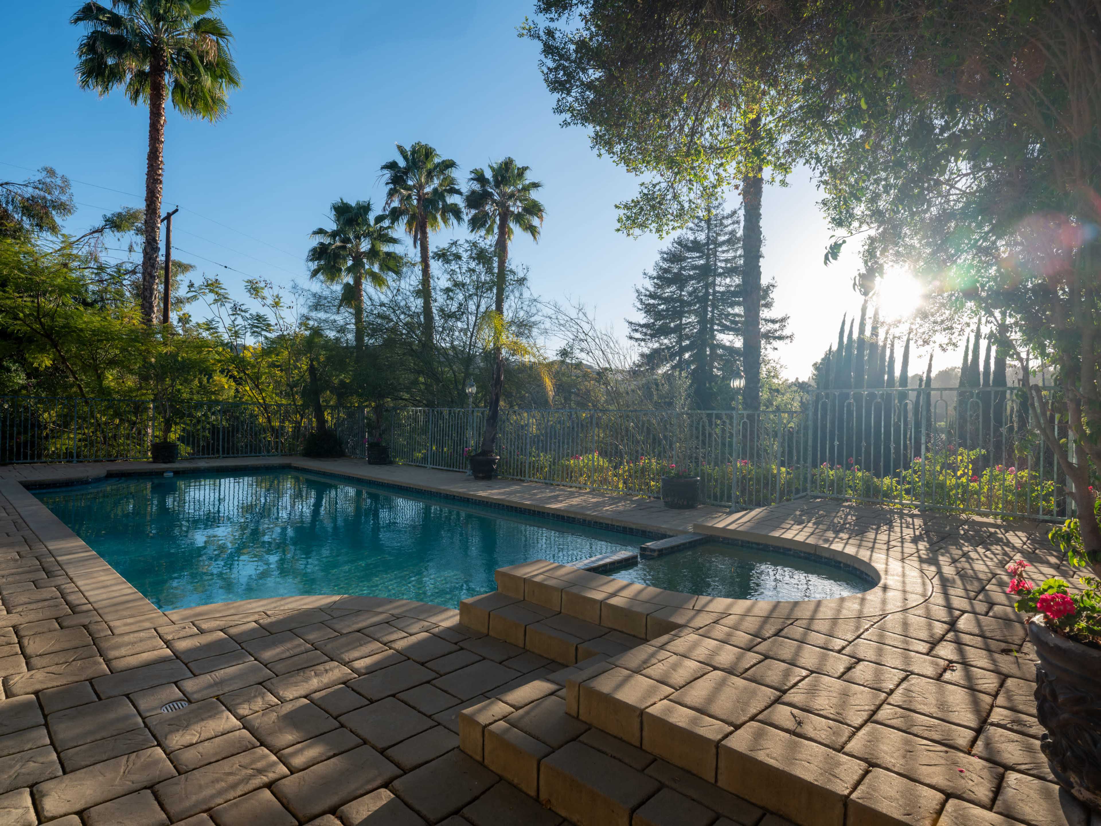 The image shows a backyard pool area surrounded by palm trees and greenery, with illuminated steps leading into the water.