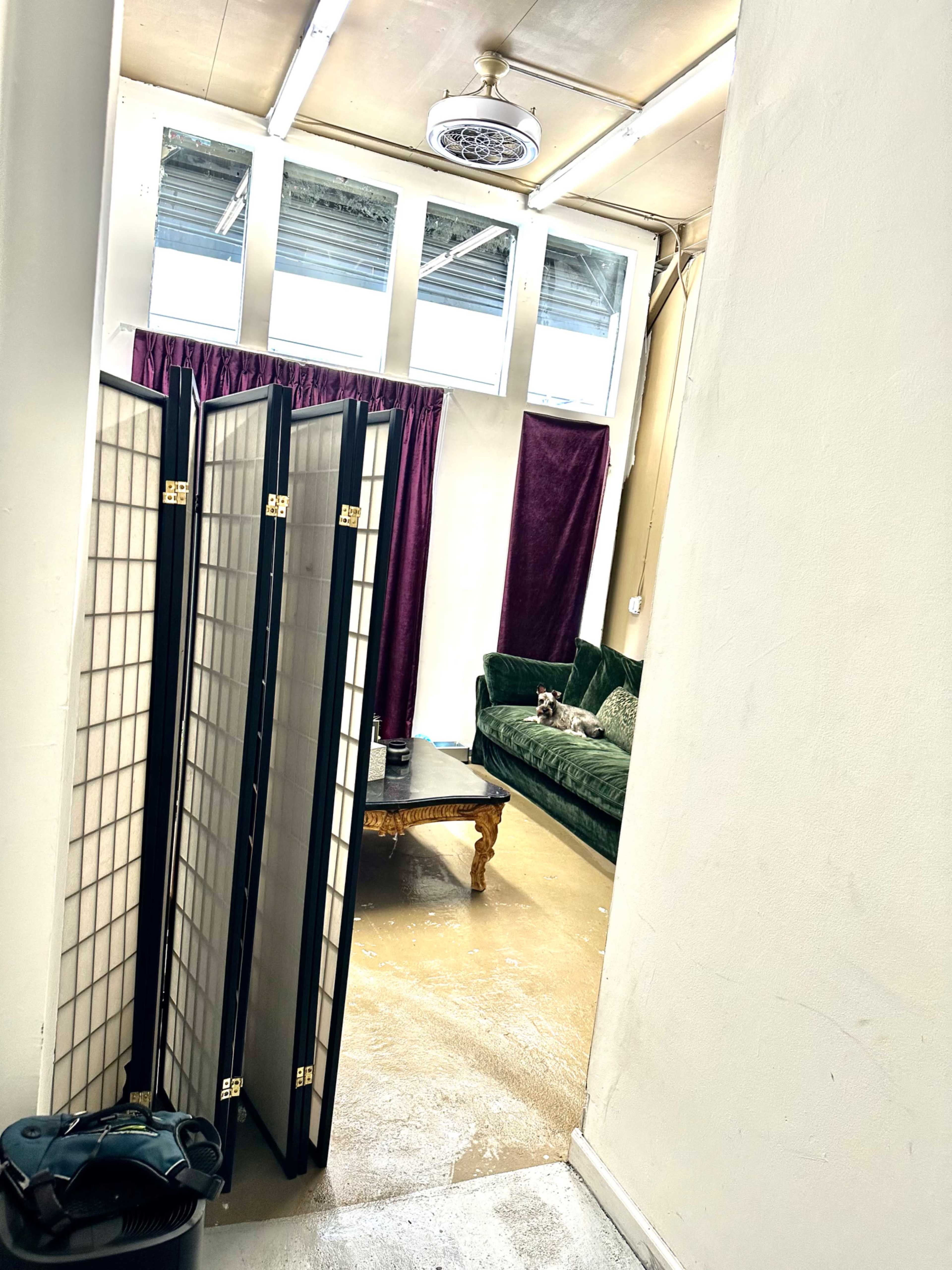 A room is divided by a folding screen, revealing a green velvet sofa with a dog lounging on it.