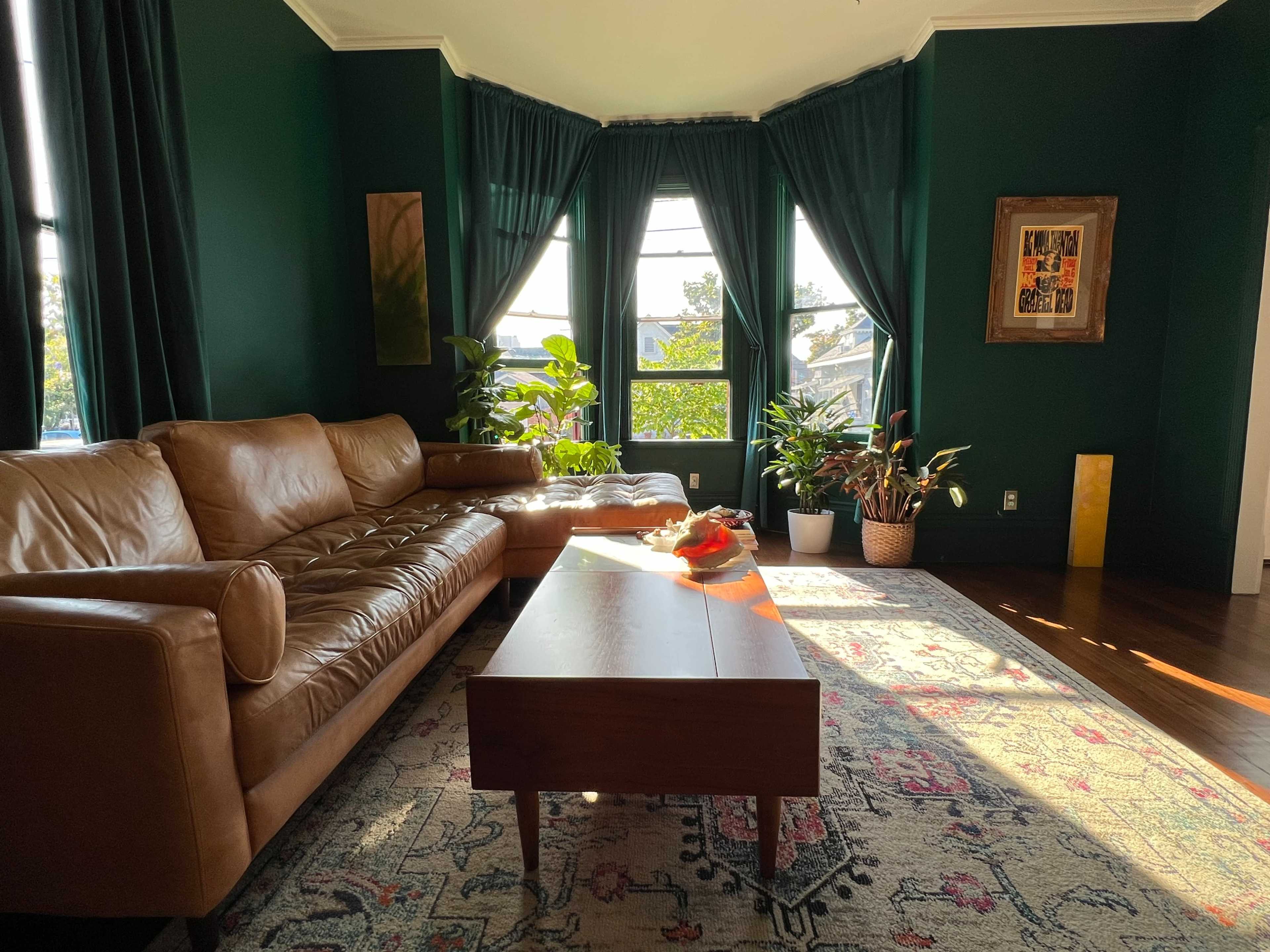 A cozy living room featuring a brown leather sofa, a wooden coffee table, and several indoor plants, all set against dark green curtains and walls.
