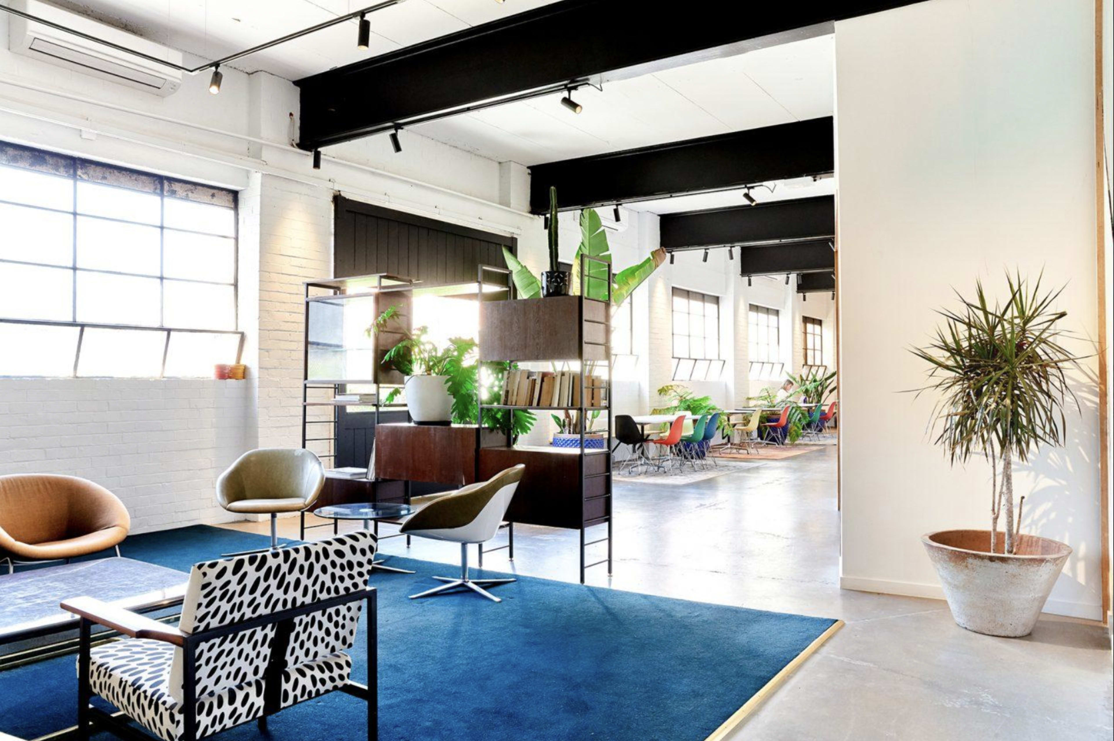A modern office interior with a combination of seating areas, decorative plants, and large windows allowing natural light to enter.