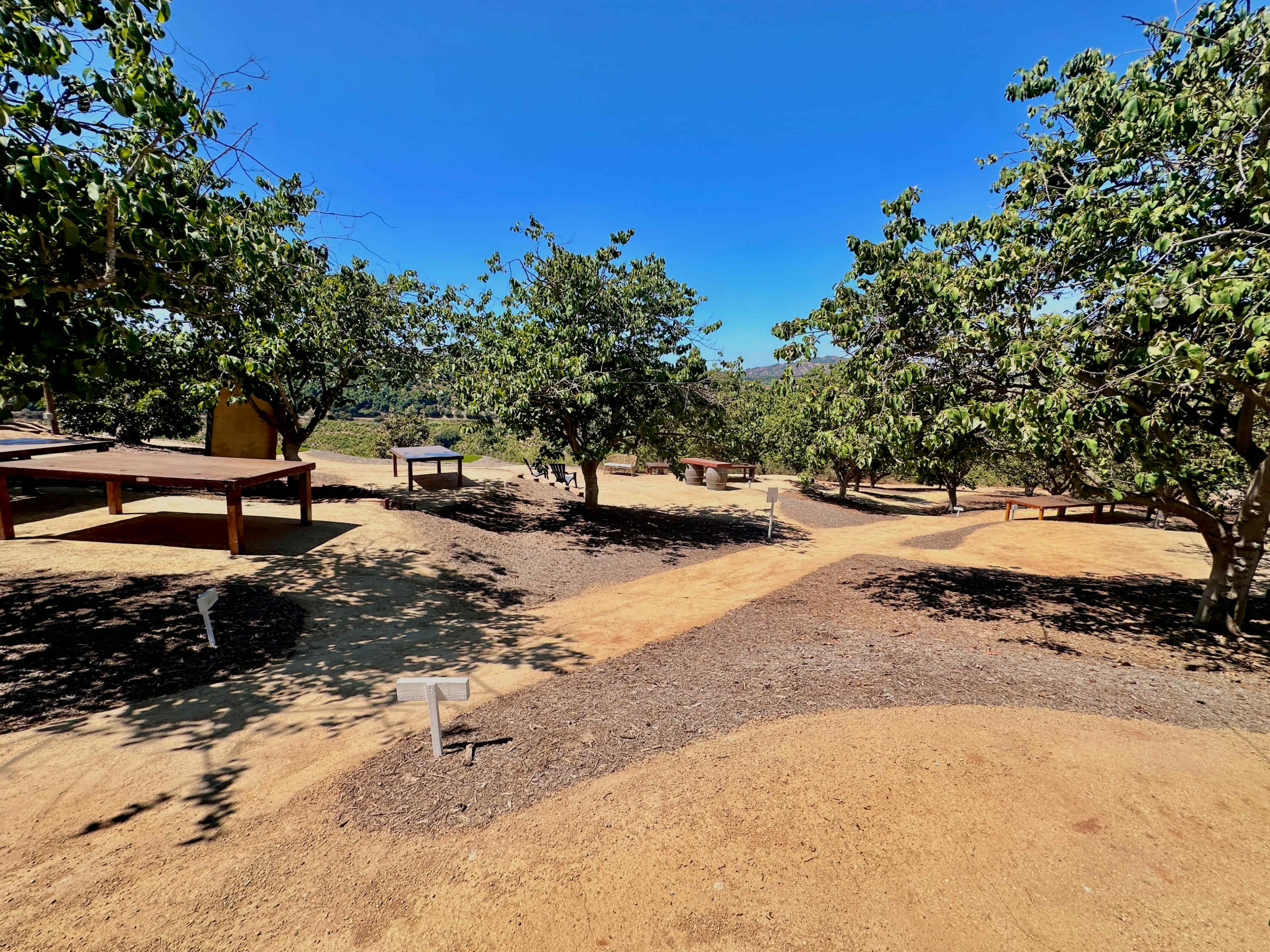 A landscape with several dirt paths winding through an open area dotted with trees and wooden structures.