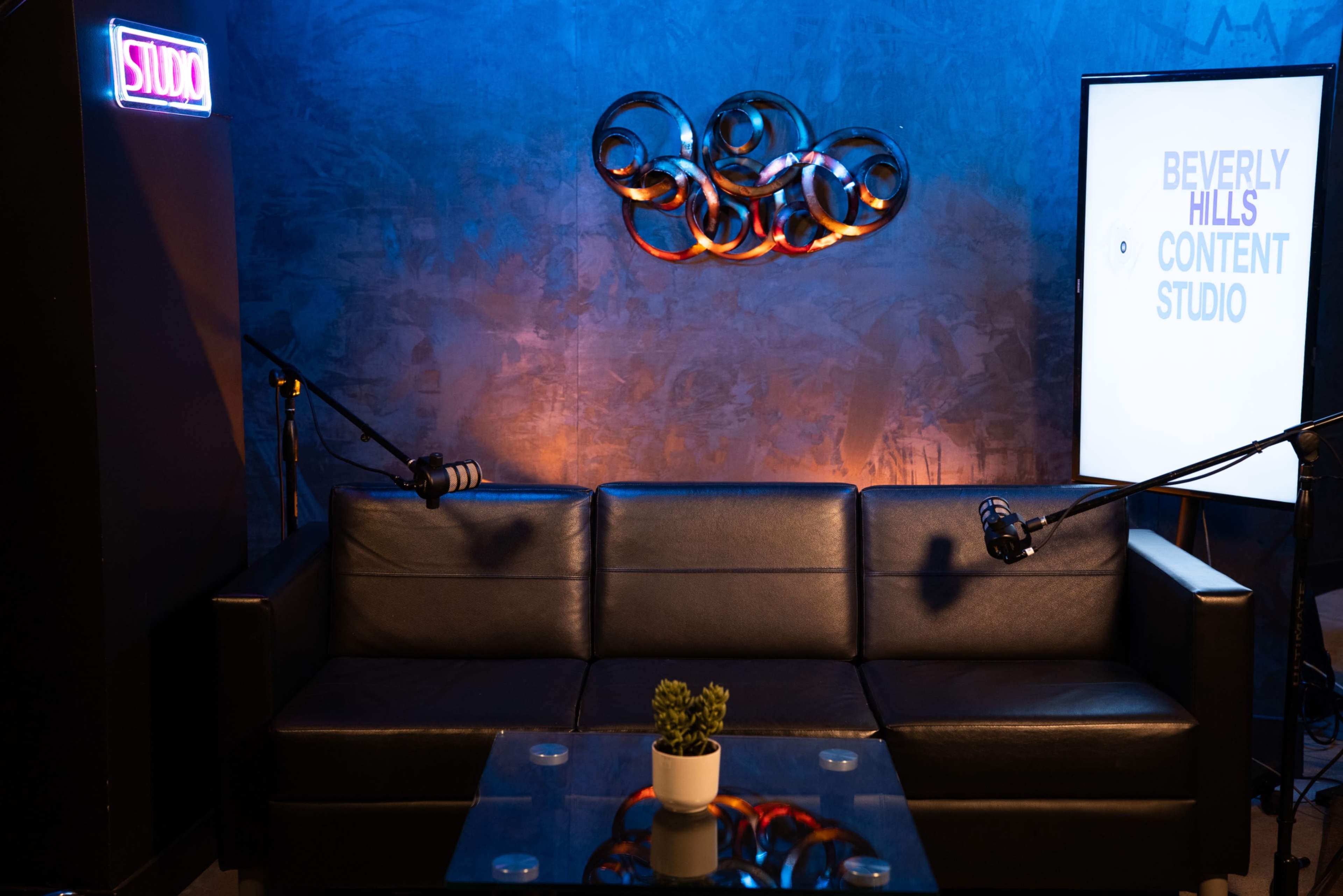 The image depicts a modern studio setup featuring a black leather couch, a glass coffee table with a small potted plant, and two microphones positioned on stands.