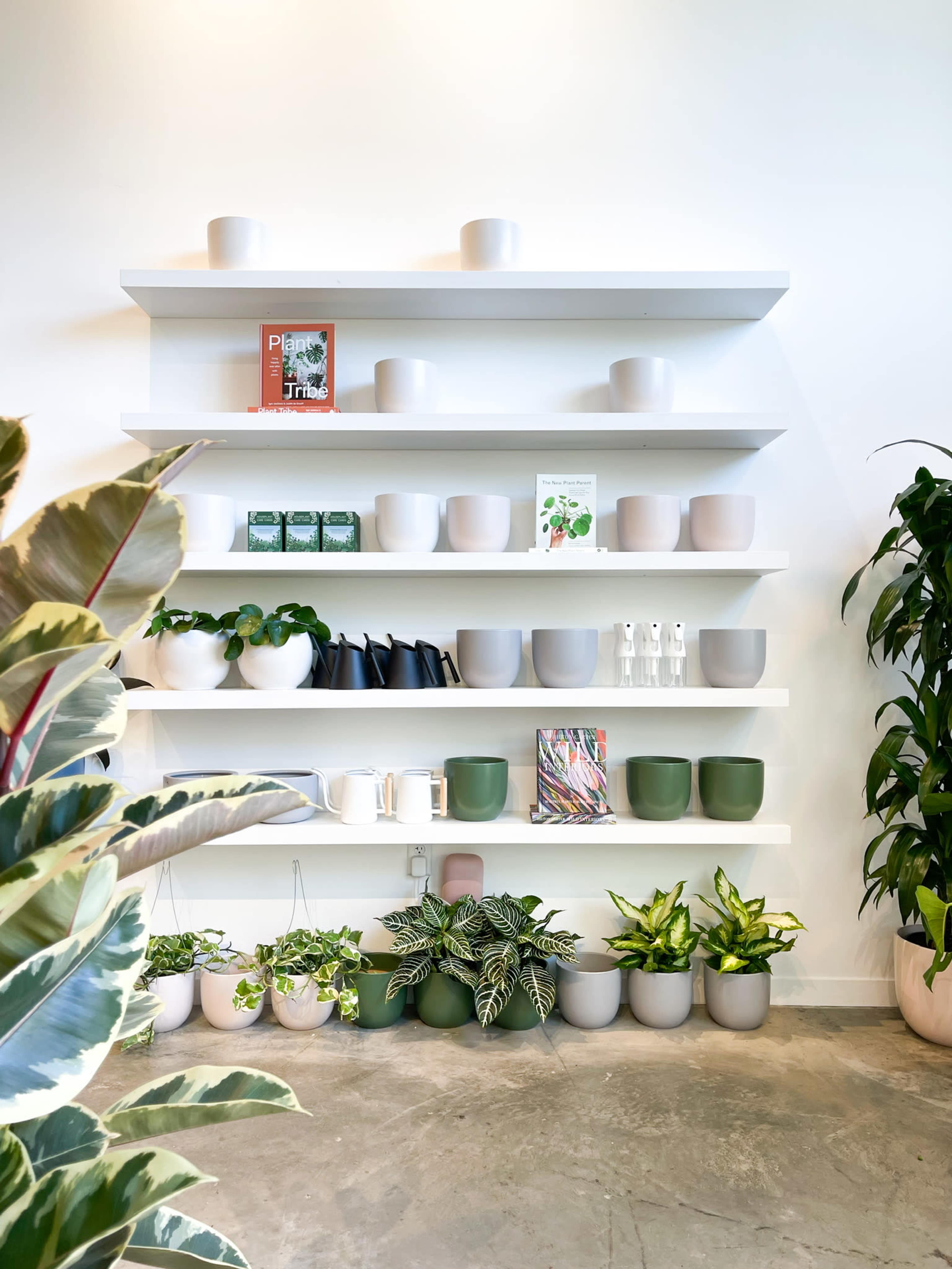 A white wall shelf displays various potted plants and ceramic pots in differing shapes and sizes.
