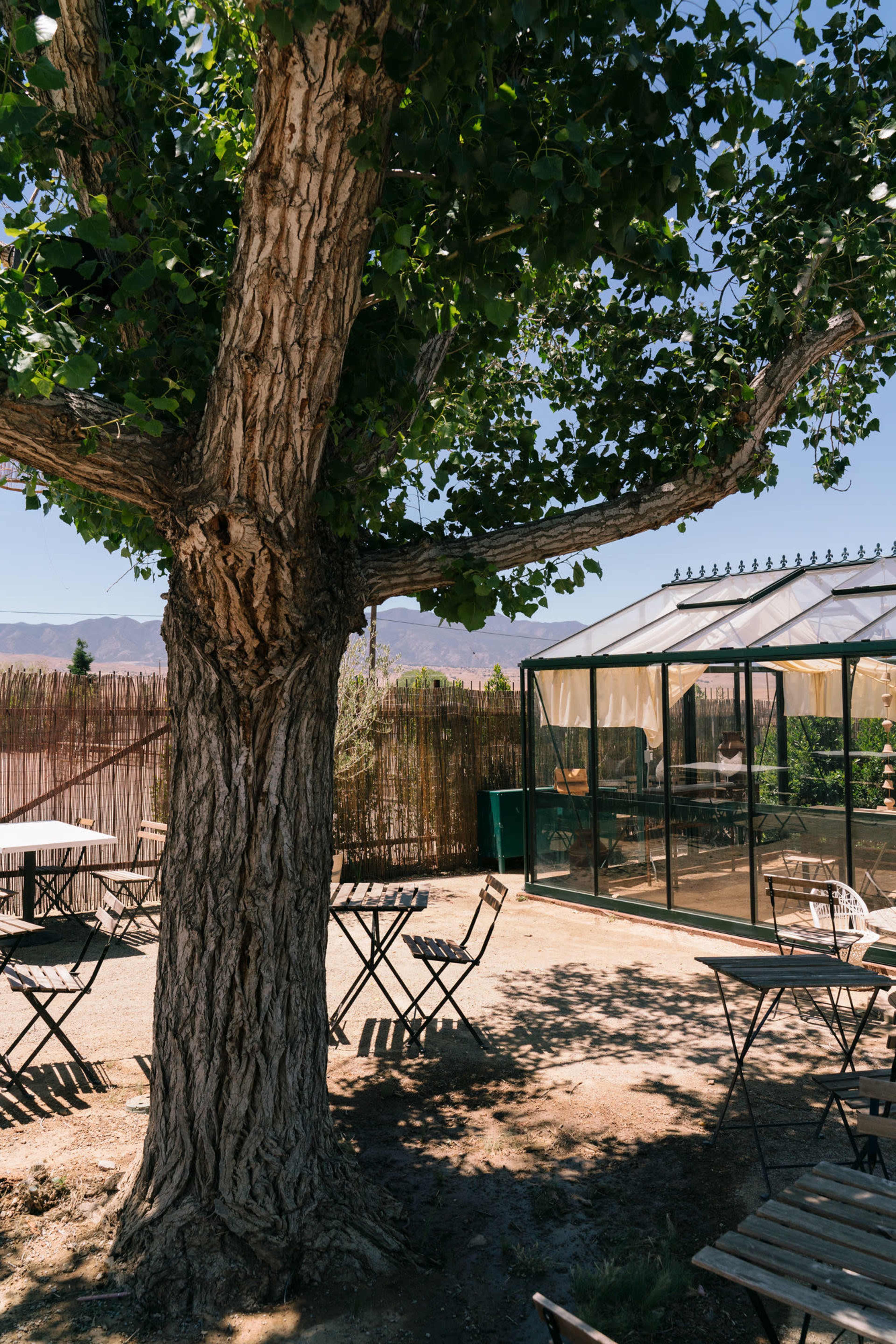 A large tree provides shade over outdoor tables near a glass greenhouse.