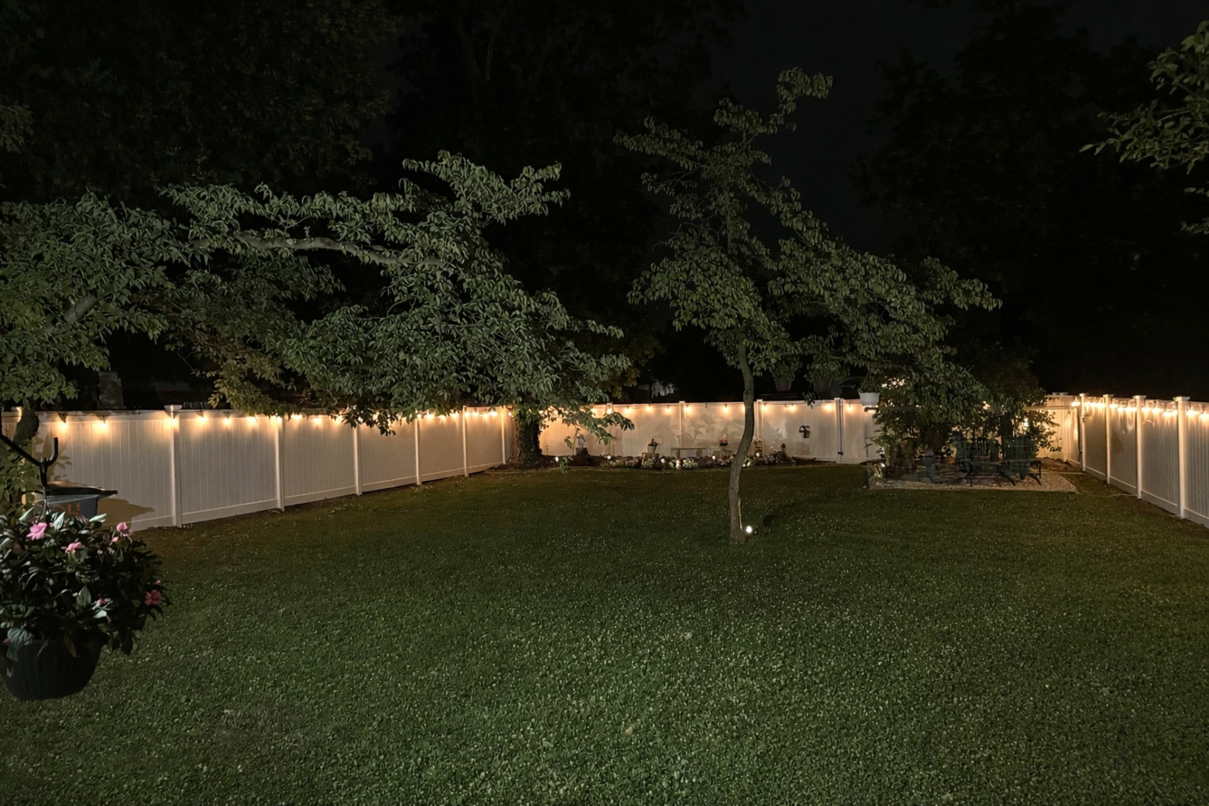 A well-lit backyard at night, featuring a grassy area bordered by a white fence and several trees illuminated by string lights.